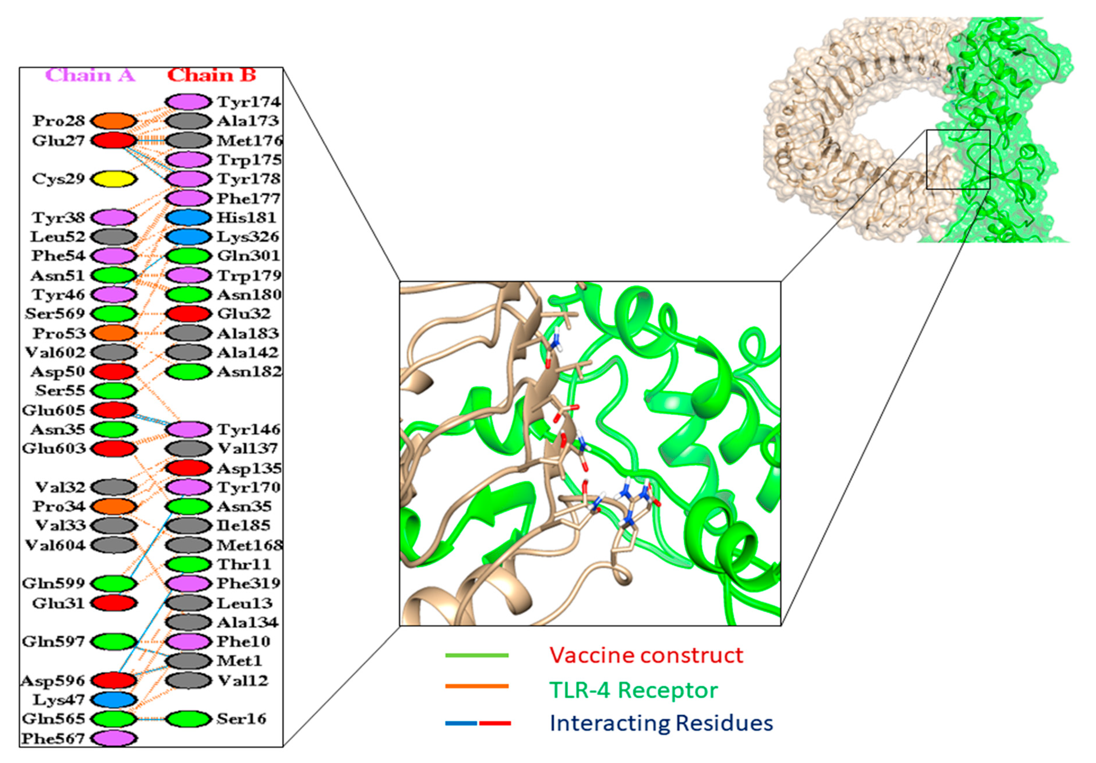 Vaccines 09 01373 g005 Vaccines 09 01373 g005