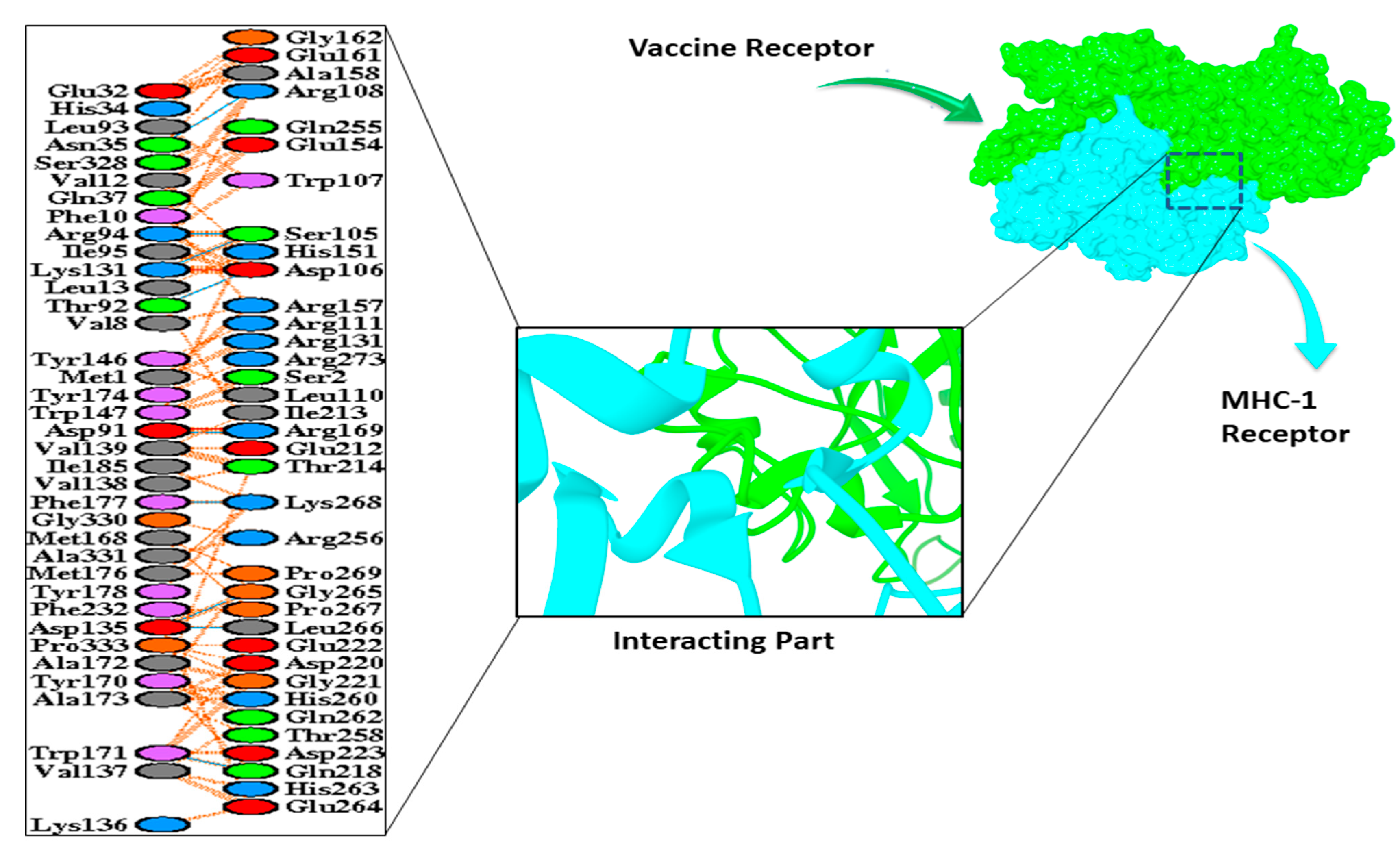 Vaccines 09 01373 g006 Vaccines 09 01373 g006