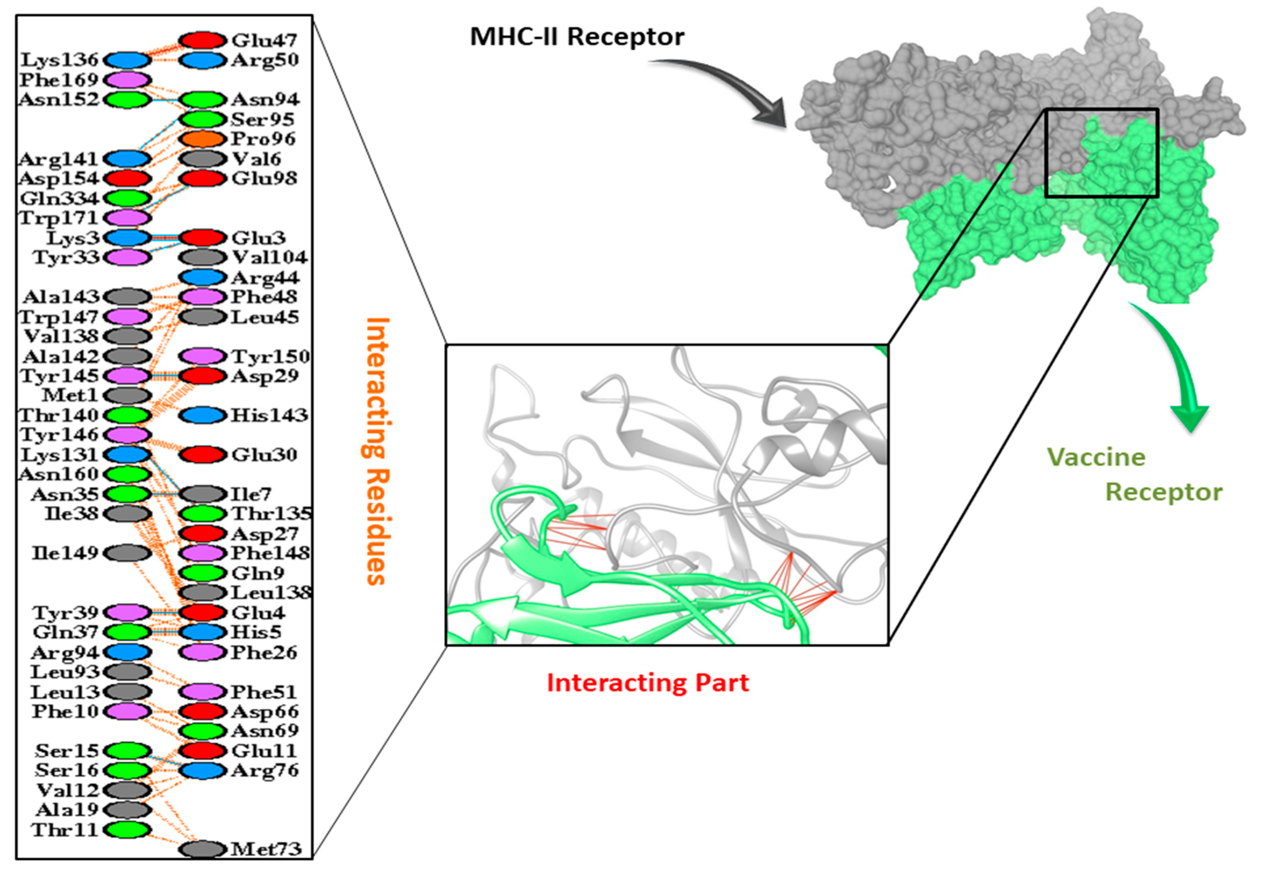 Vaccines 09 01373 g007 Vaccines 09 01373 g007