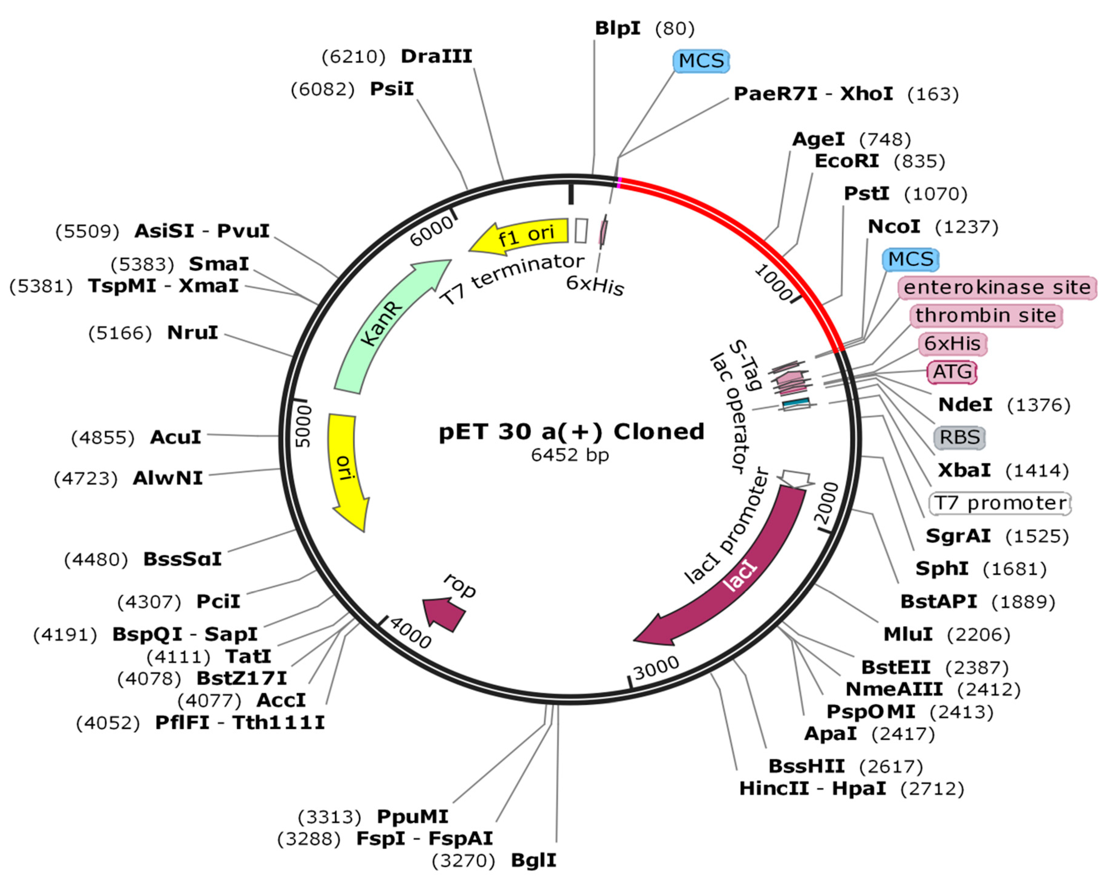 Vaccines 09 01373 g010 Vaccines 09 01373 g010