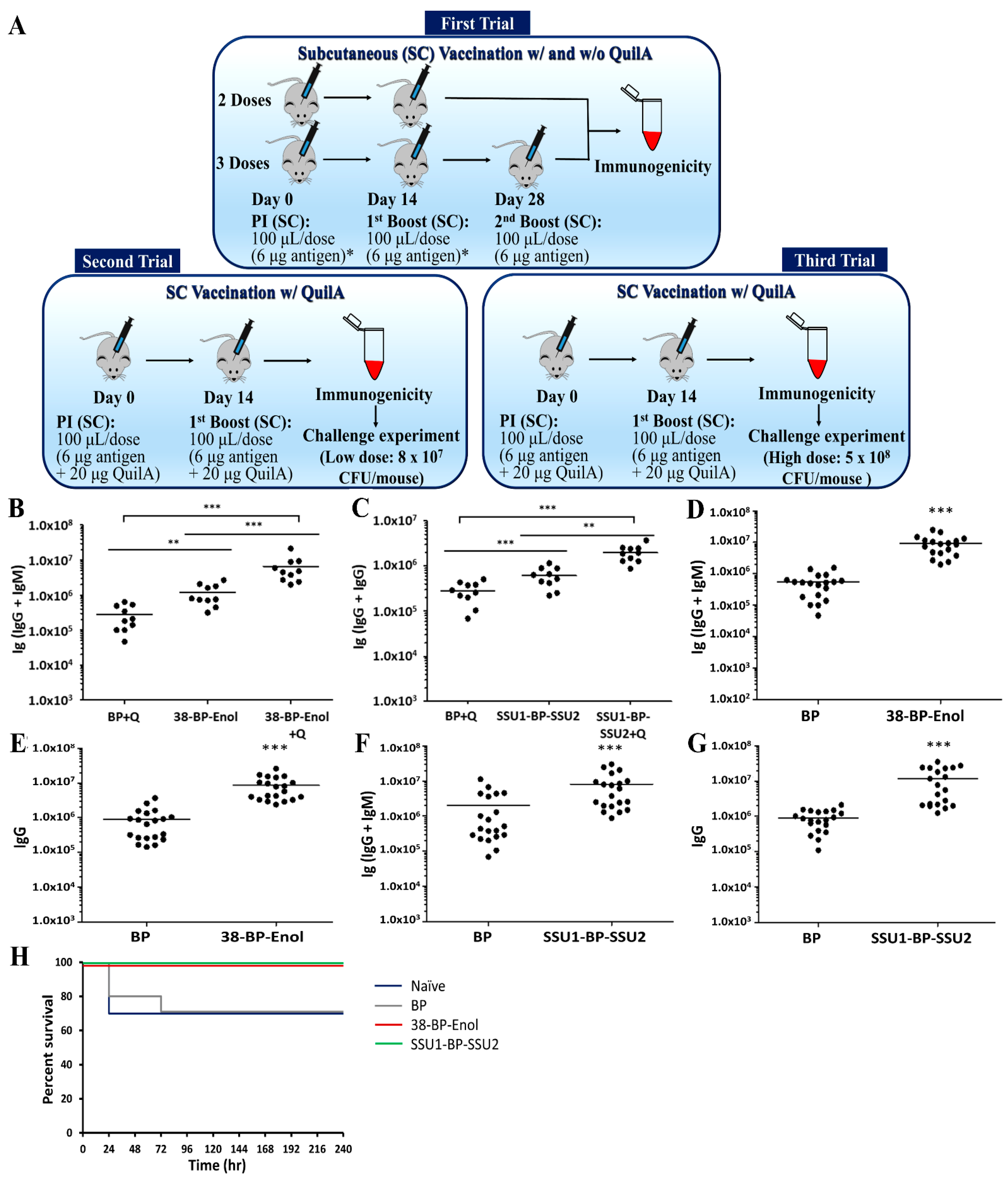 Vaccines 09 01386 g003 Vaccines 09 01386 g003