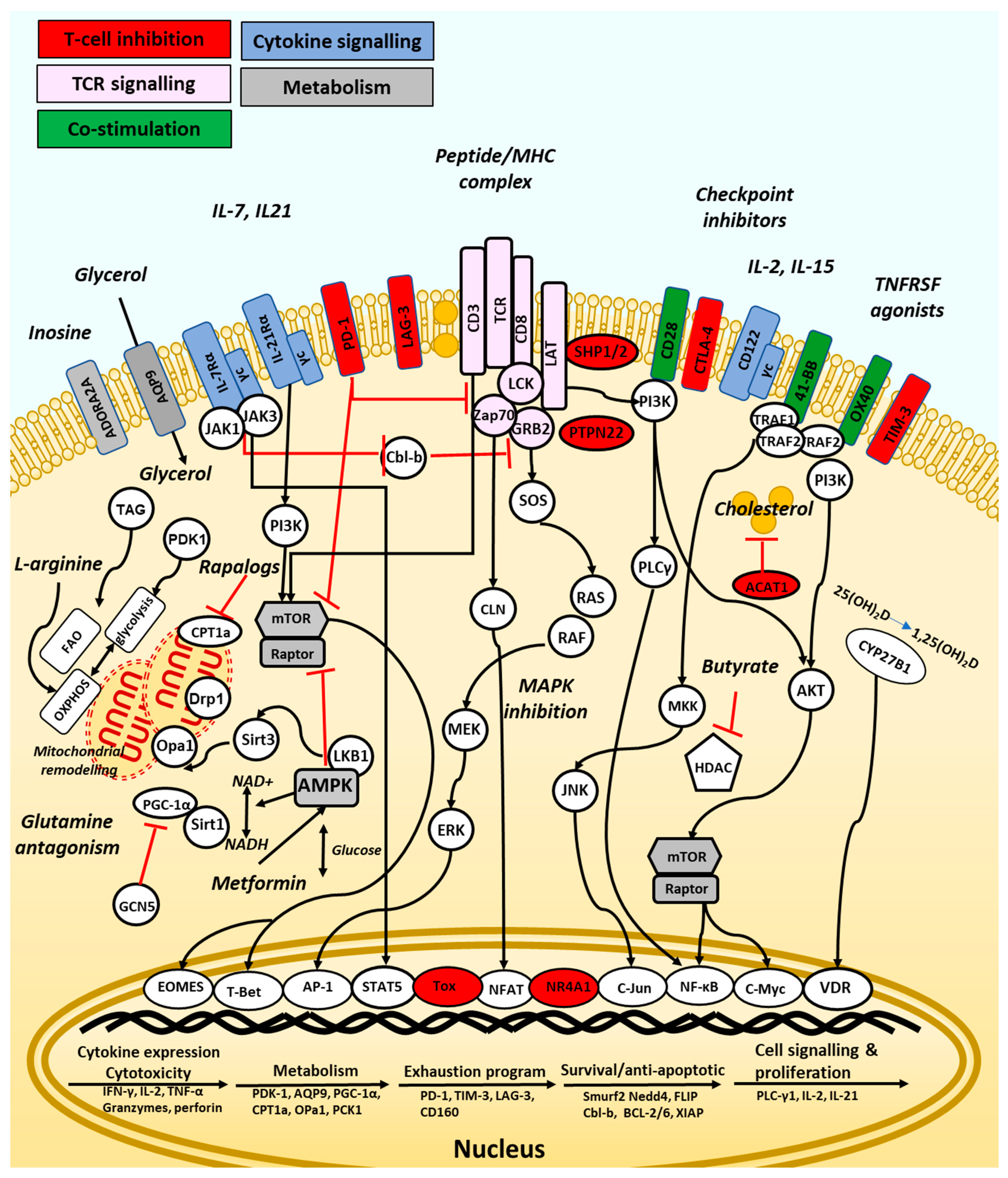 Vaccines 09 01392 g002