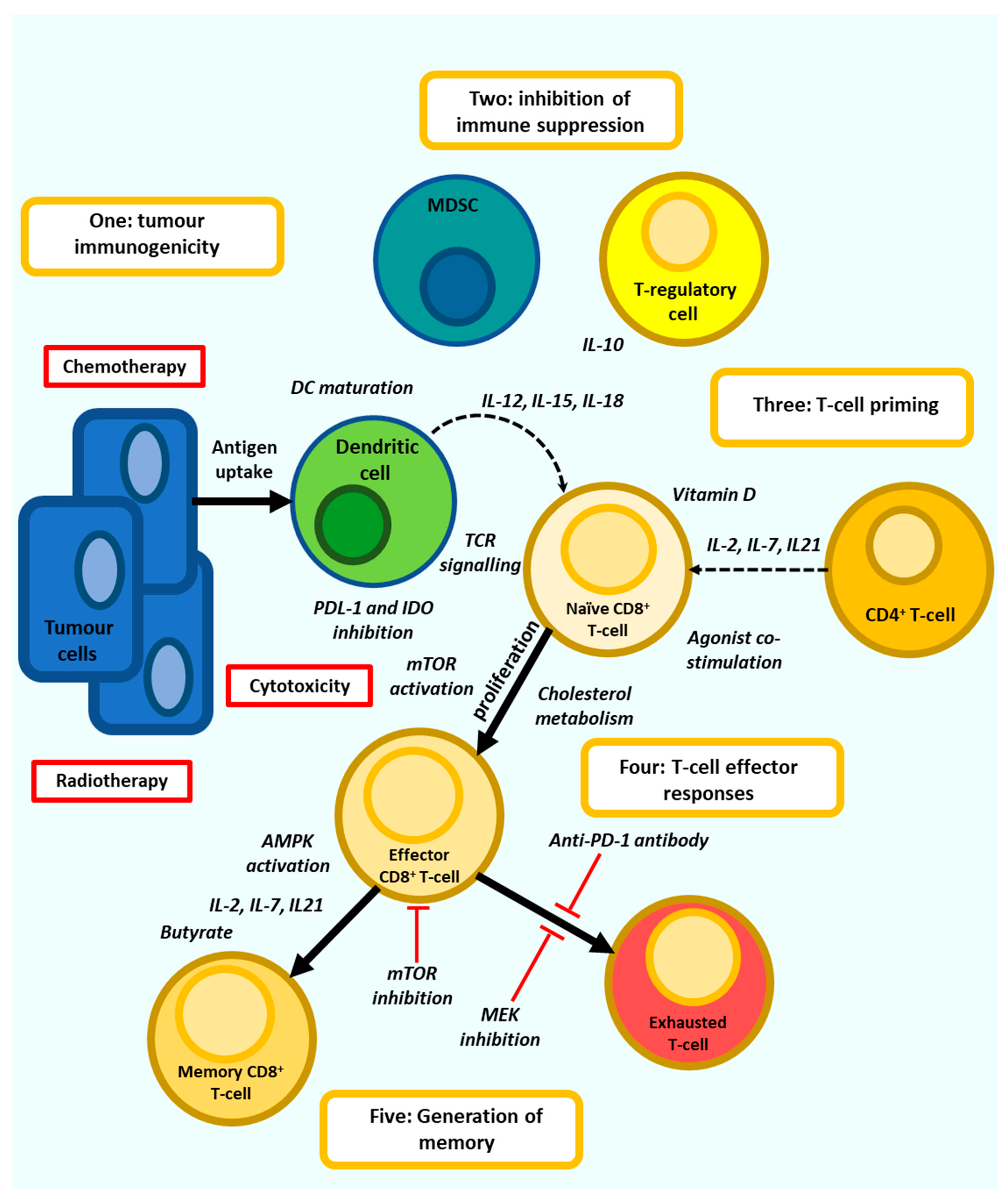 Vaccines 09 01392 g003