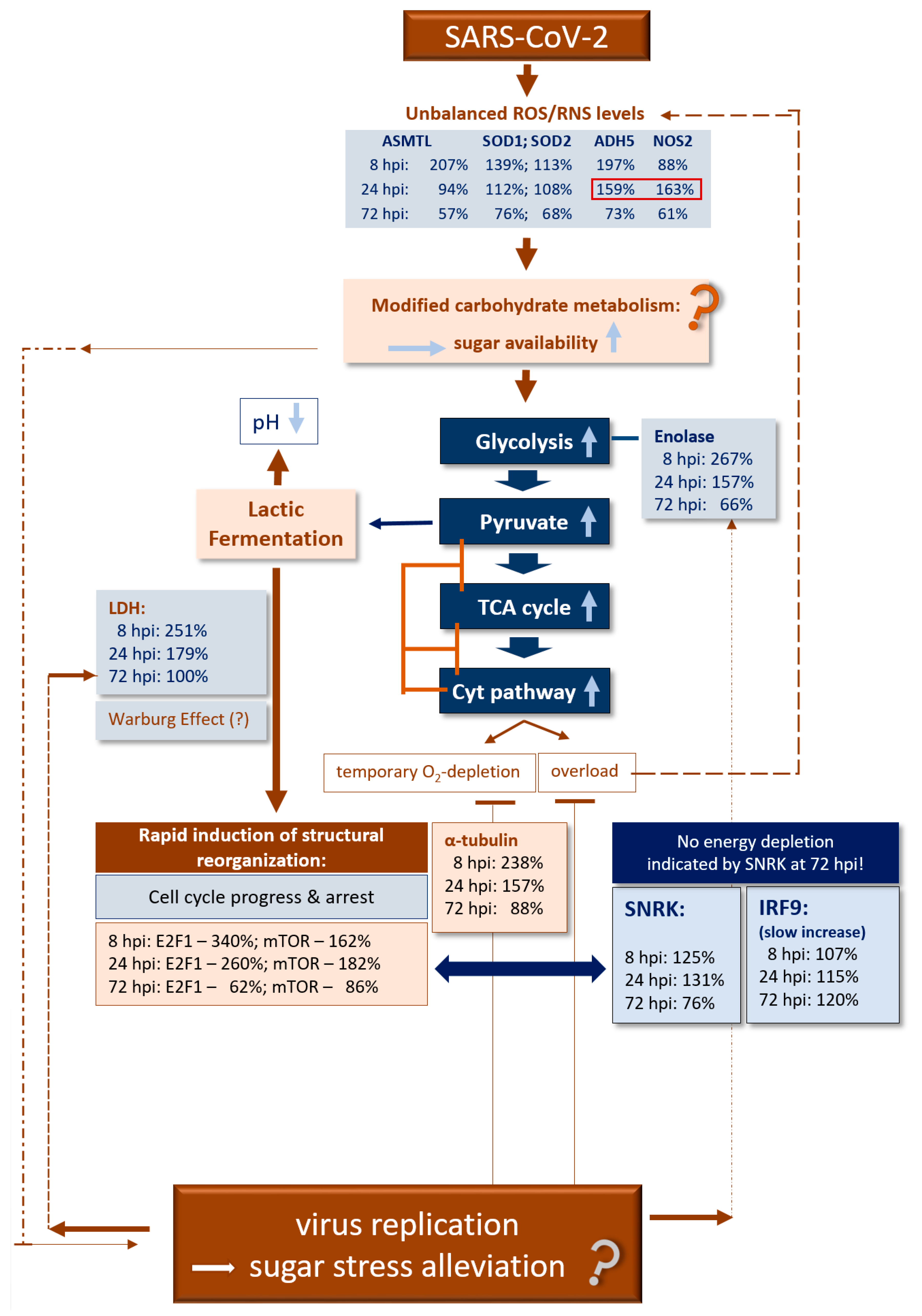 Vaccines 09 01399 g004
