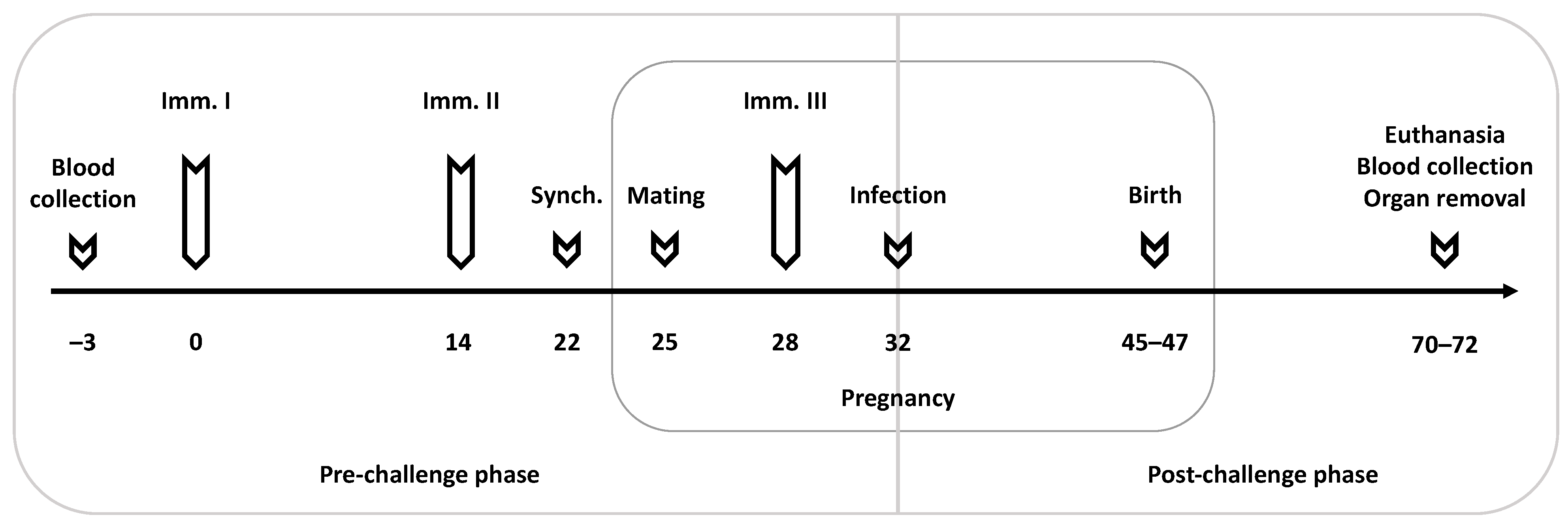 Vaccines 09 01400 g001