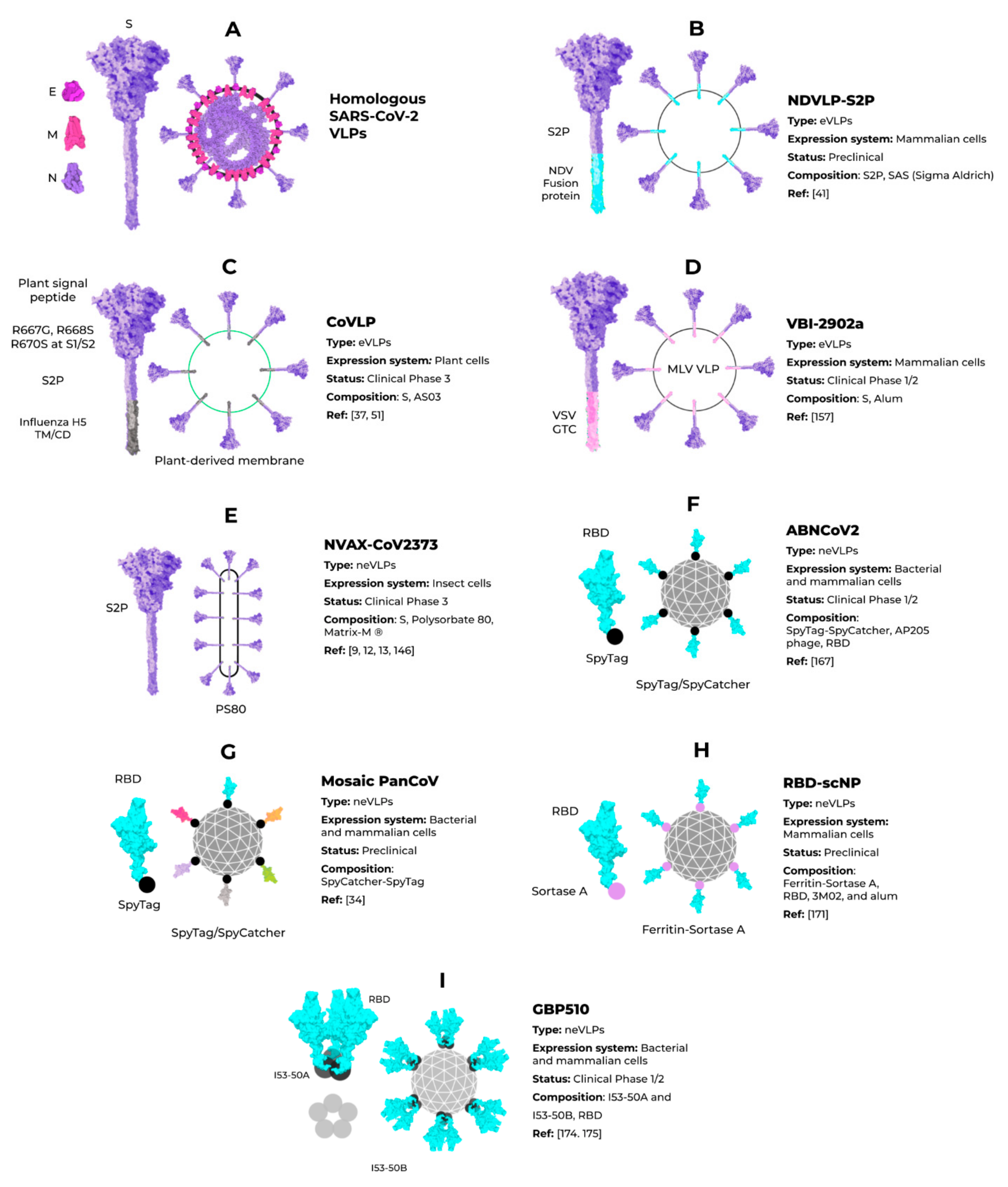 Vaccines 09 01409 g005