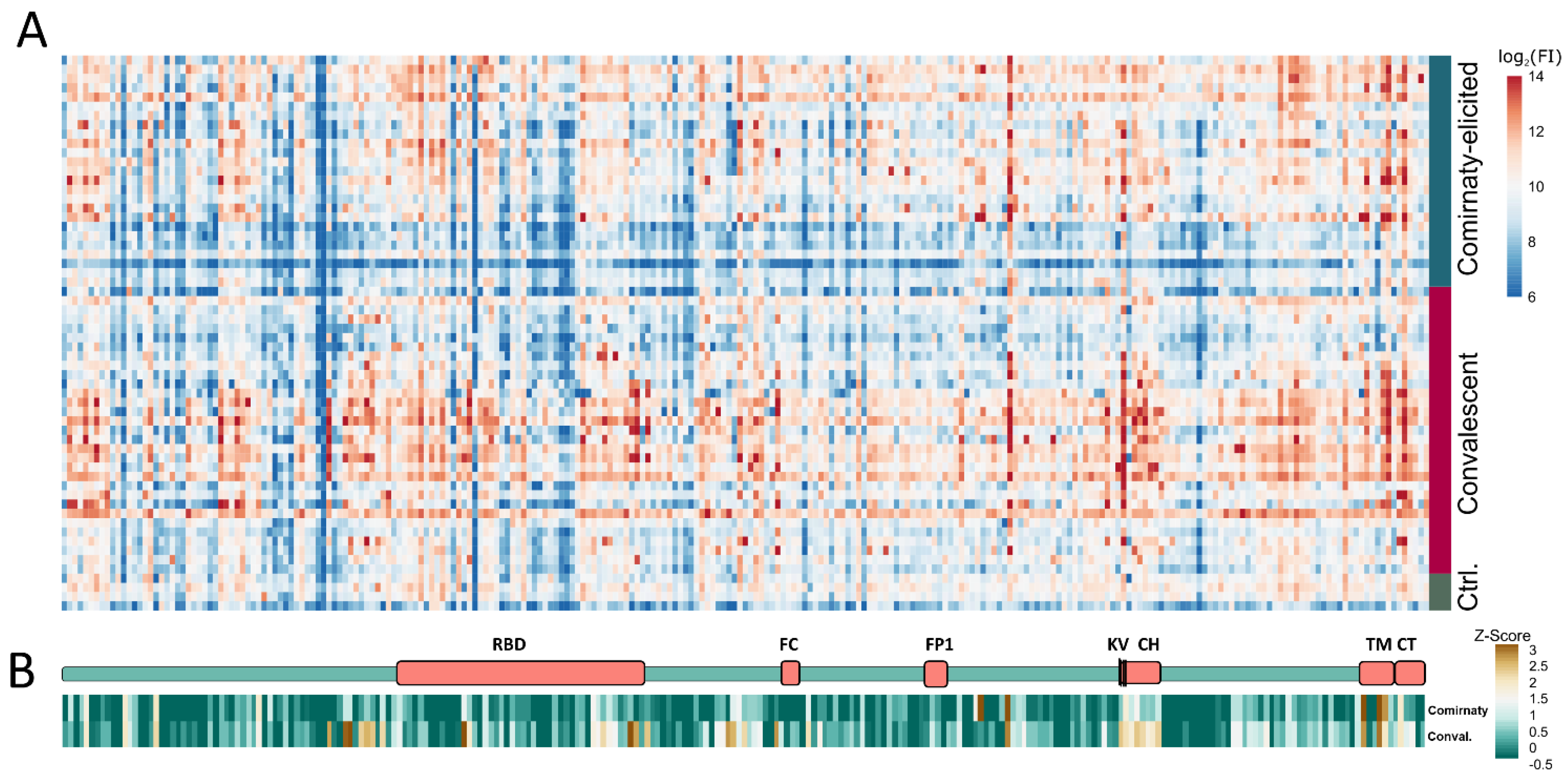Vaccines 09 01419 g001 550