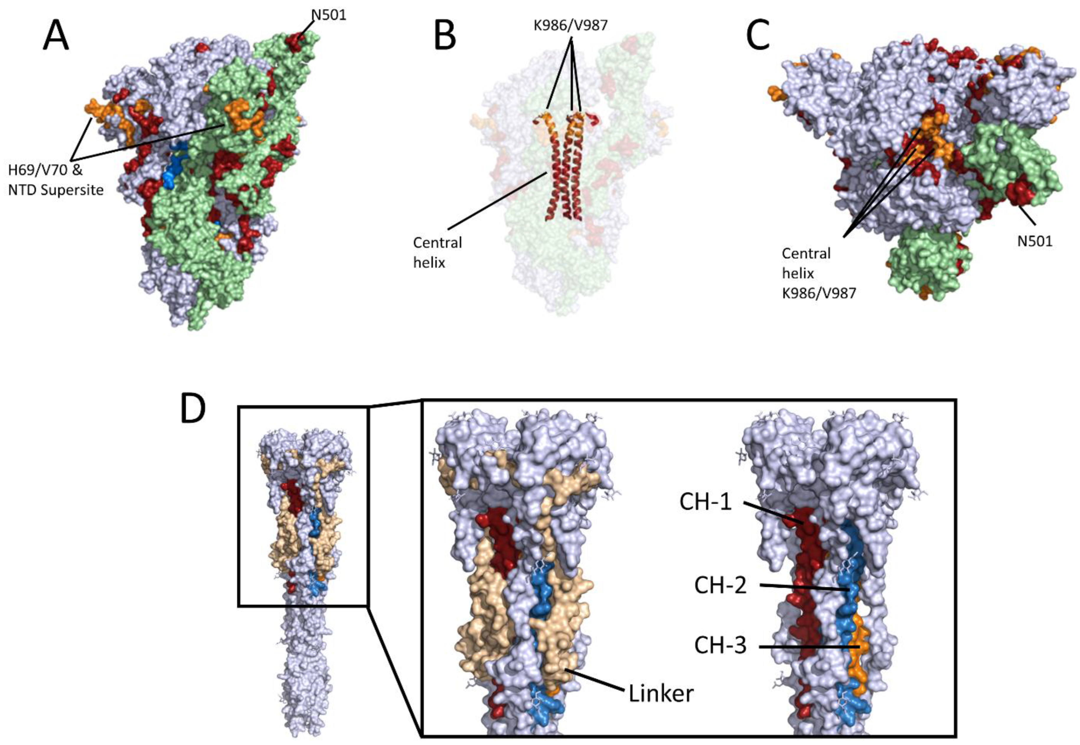 Vaccines 09 01419 g003 550