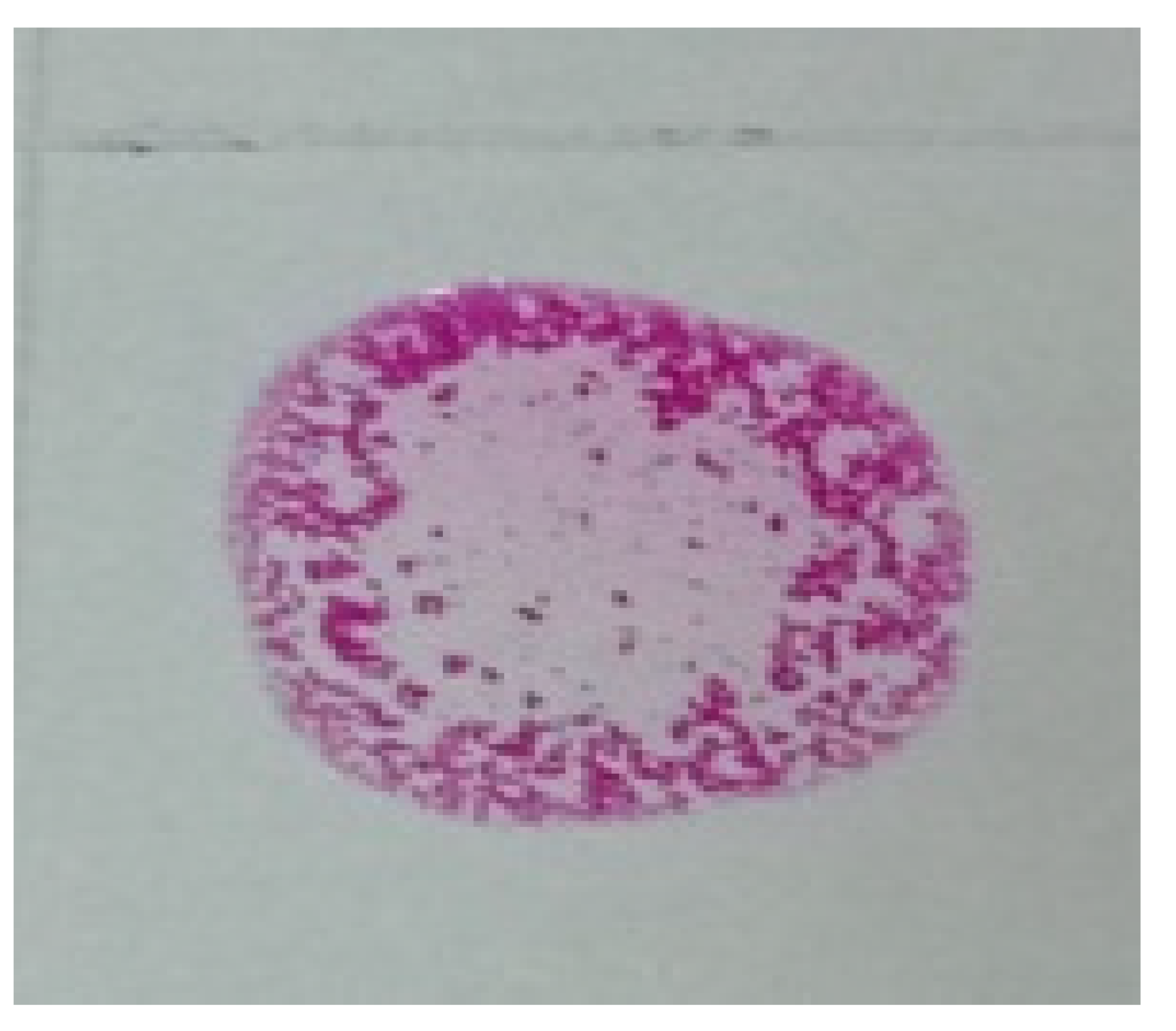 Vaccines 09 01423 i001