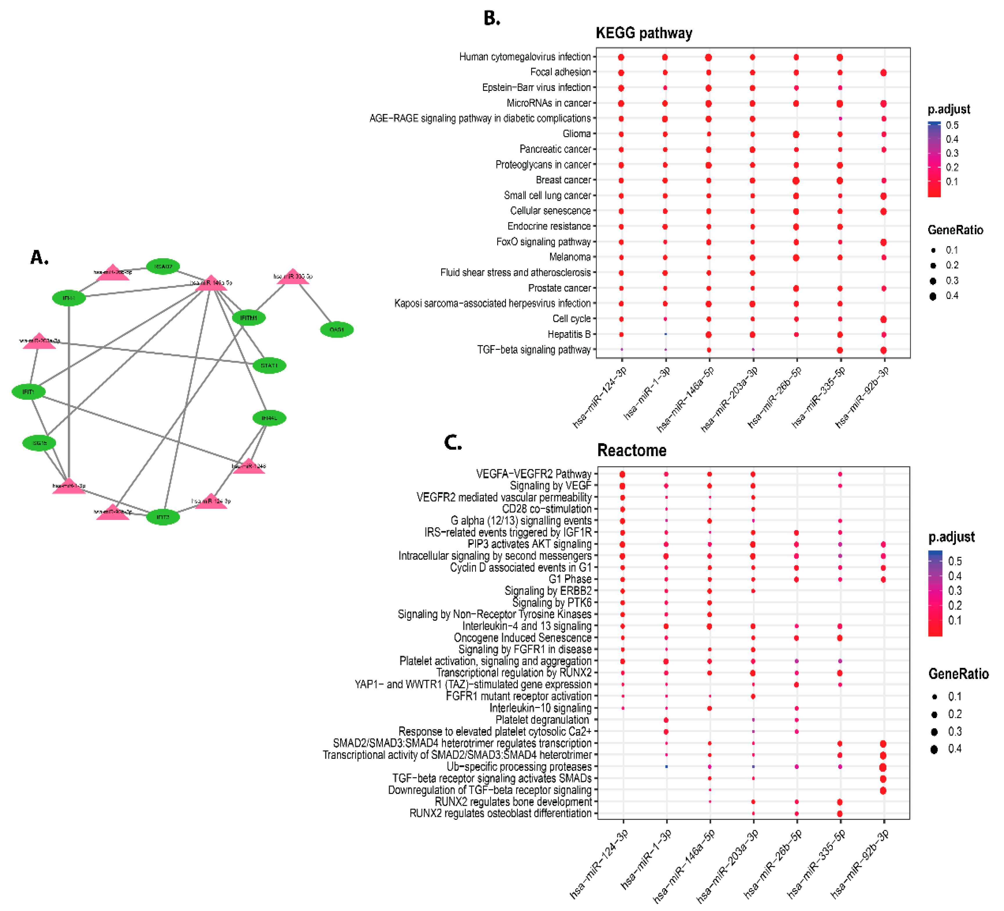 Vaccines 09 01427 g007 Vaccines 09 01427 g007