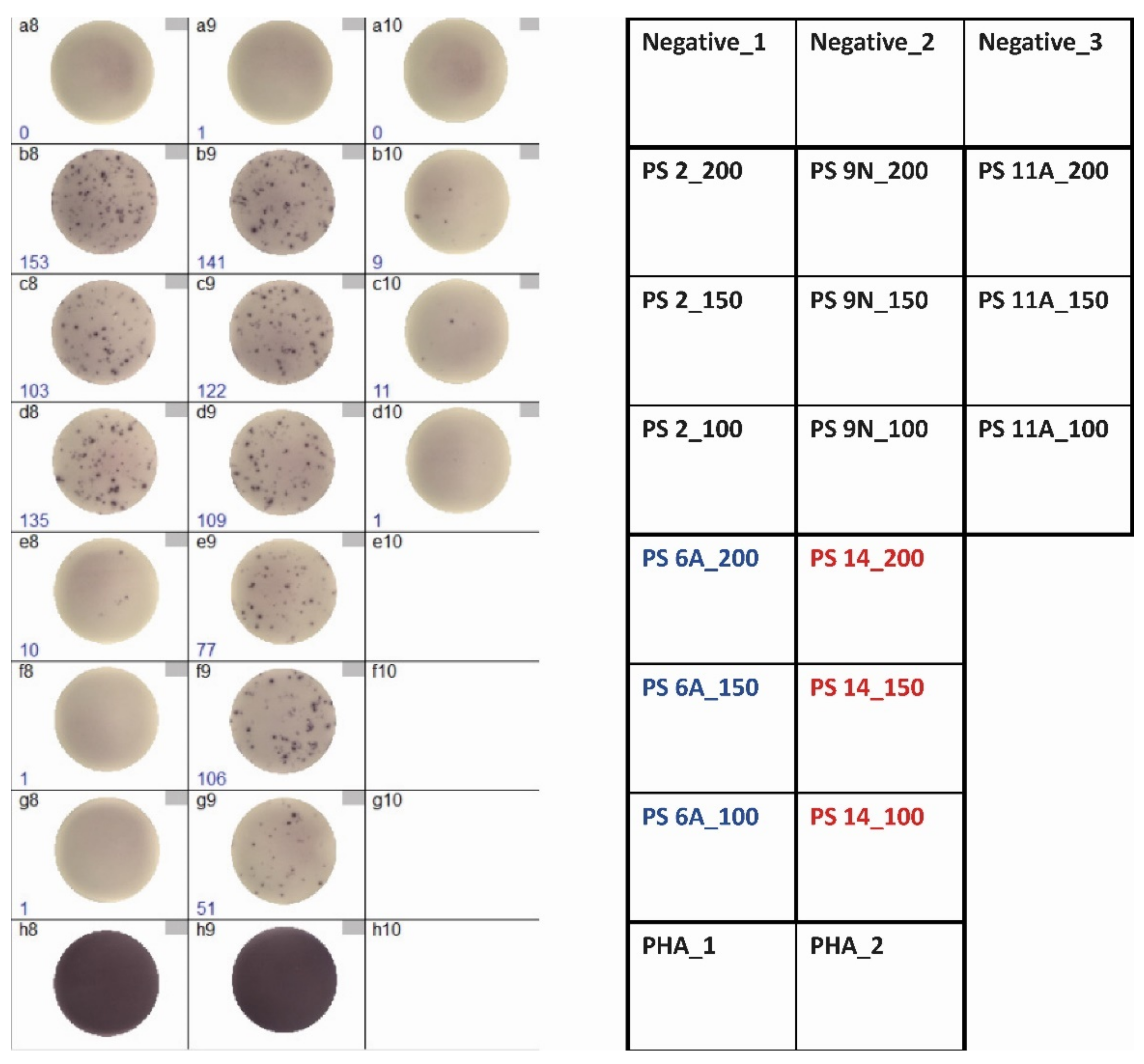 Vaccines 09 01438 g002