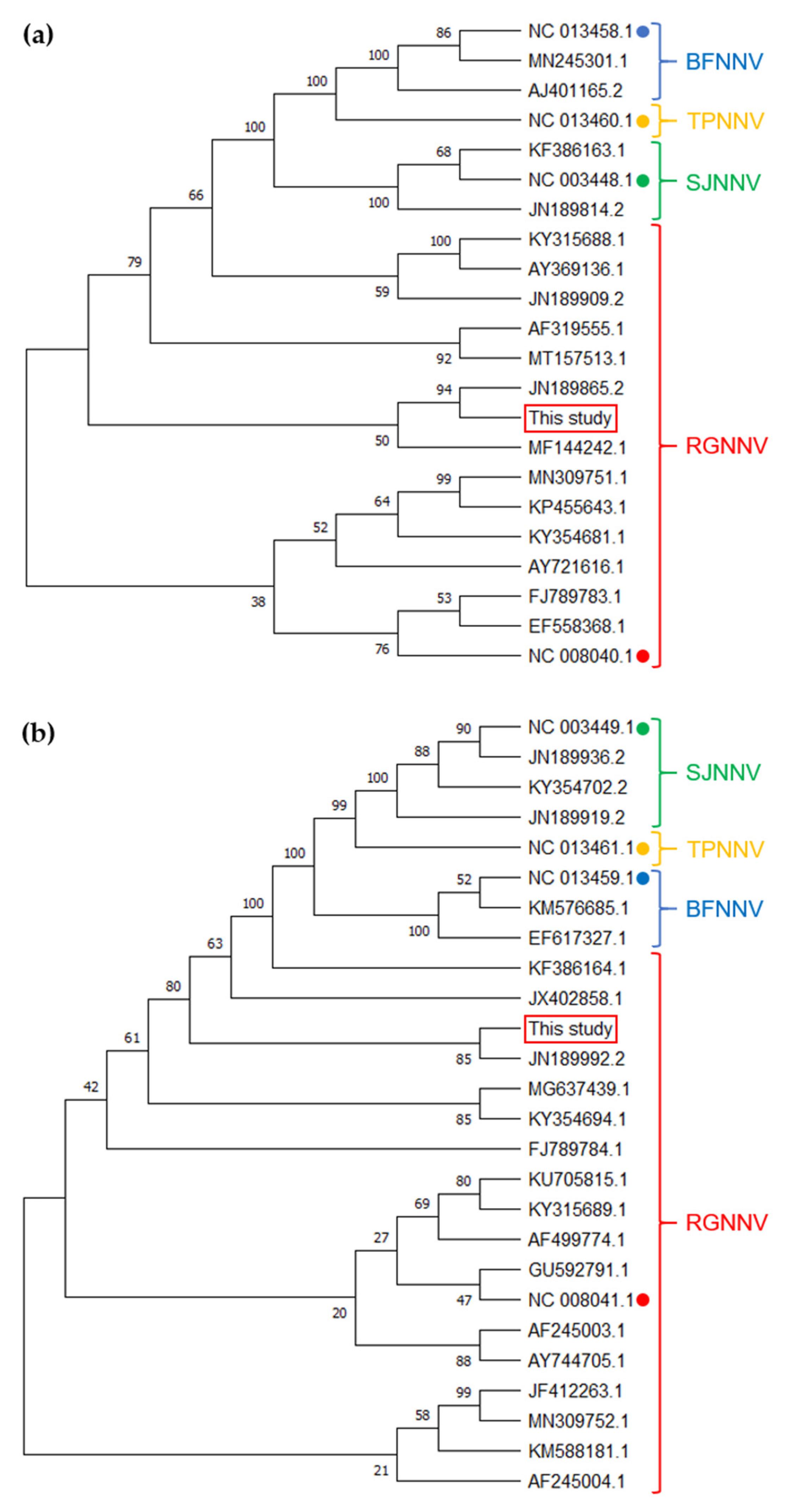 Vaccines 09 01441 g002