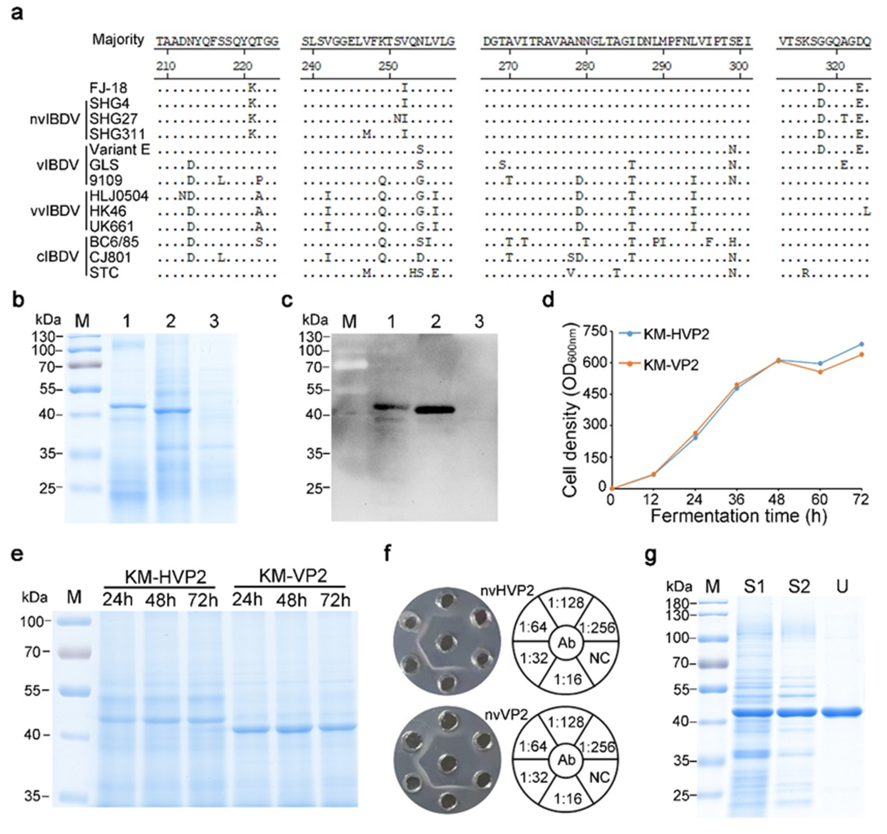 Vaccines 09 01443 g001 550