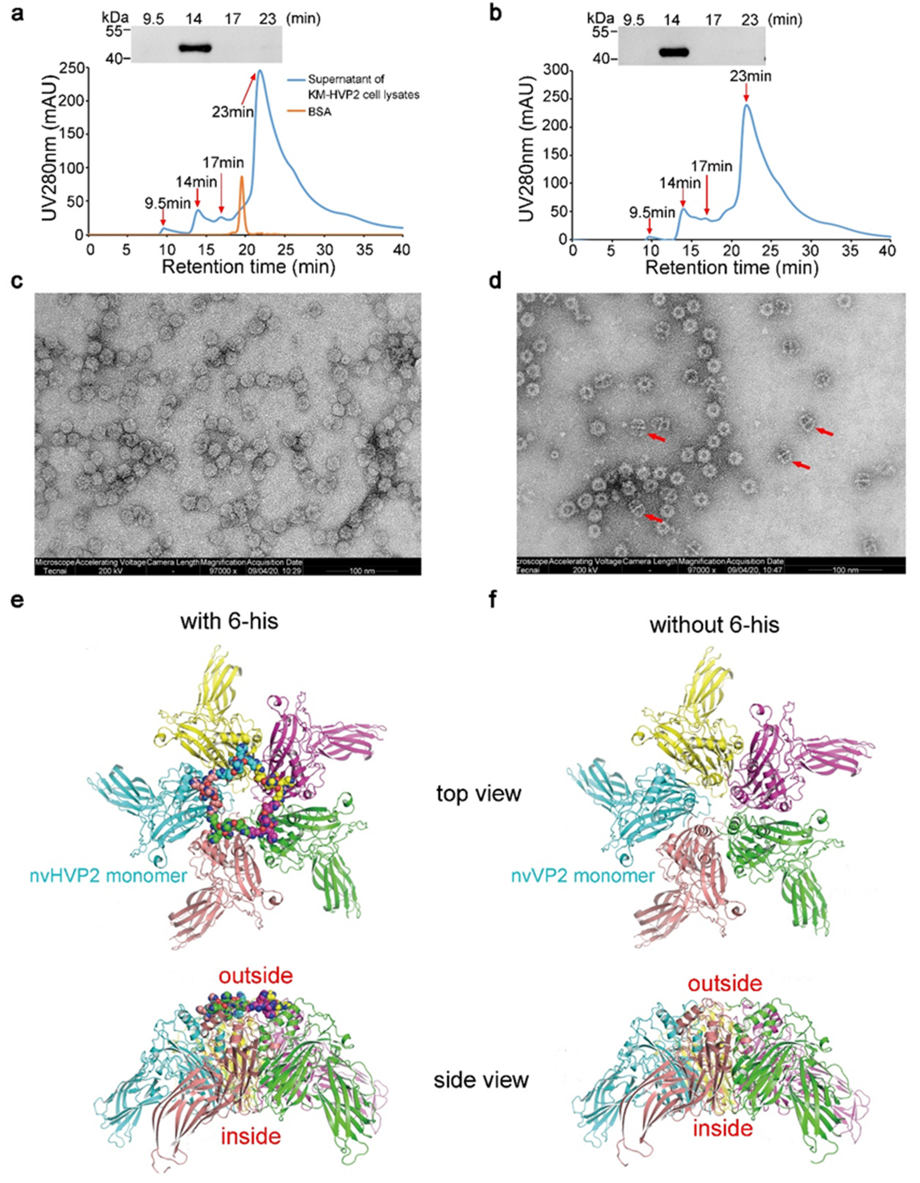 Vaccines 09 01443 g002 550