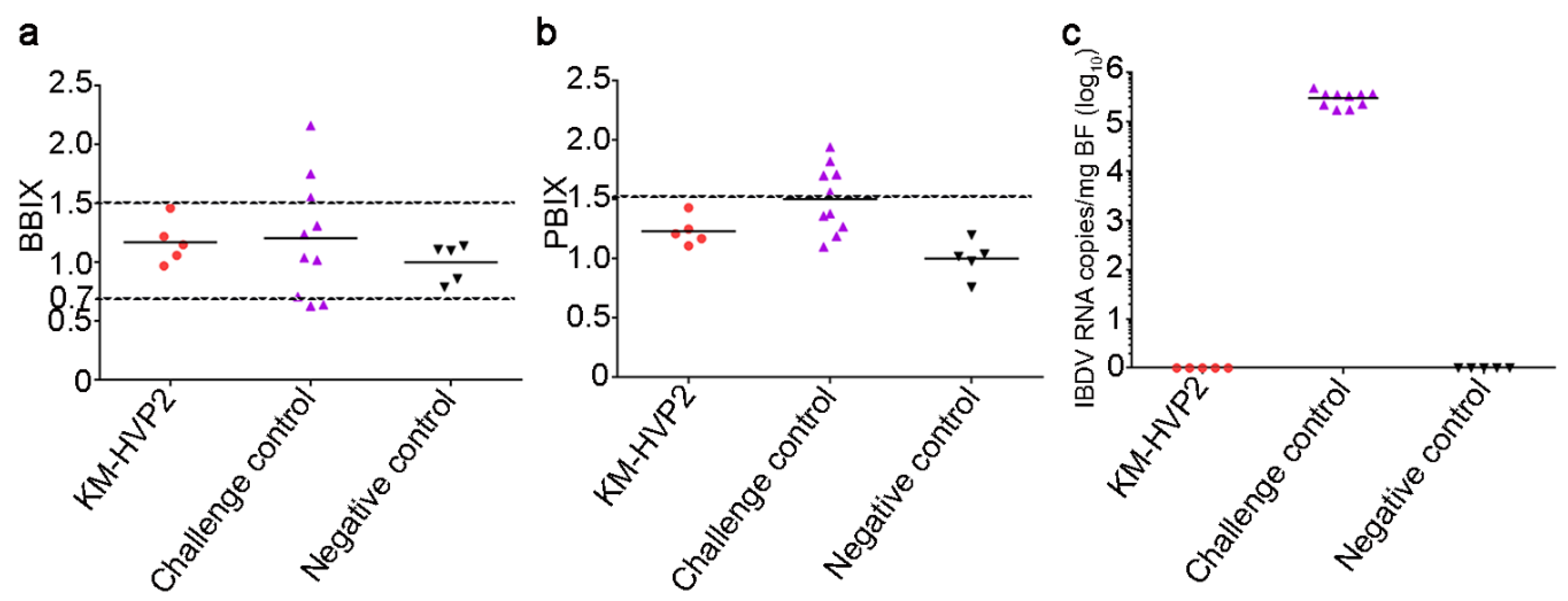 Vaccines 09 01443 g004 550