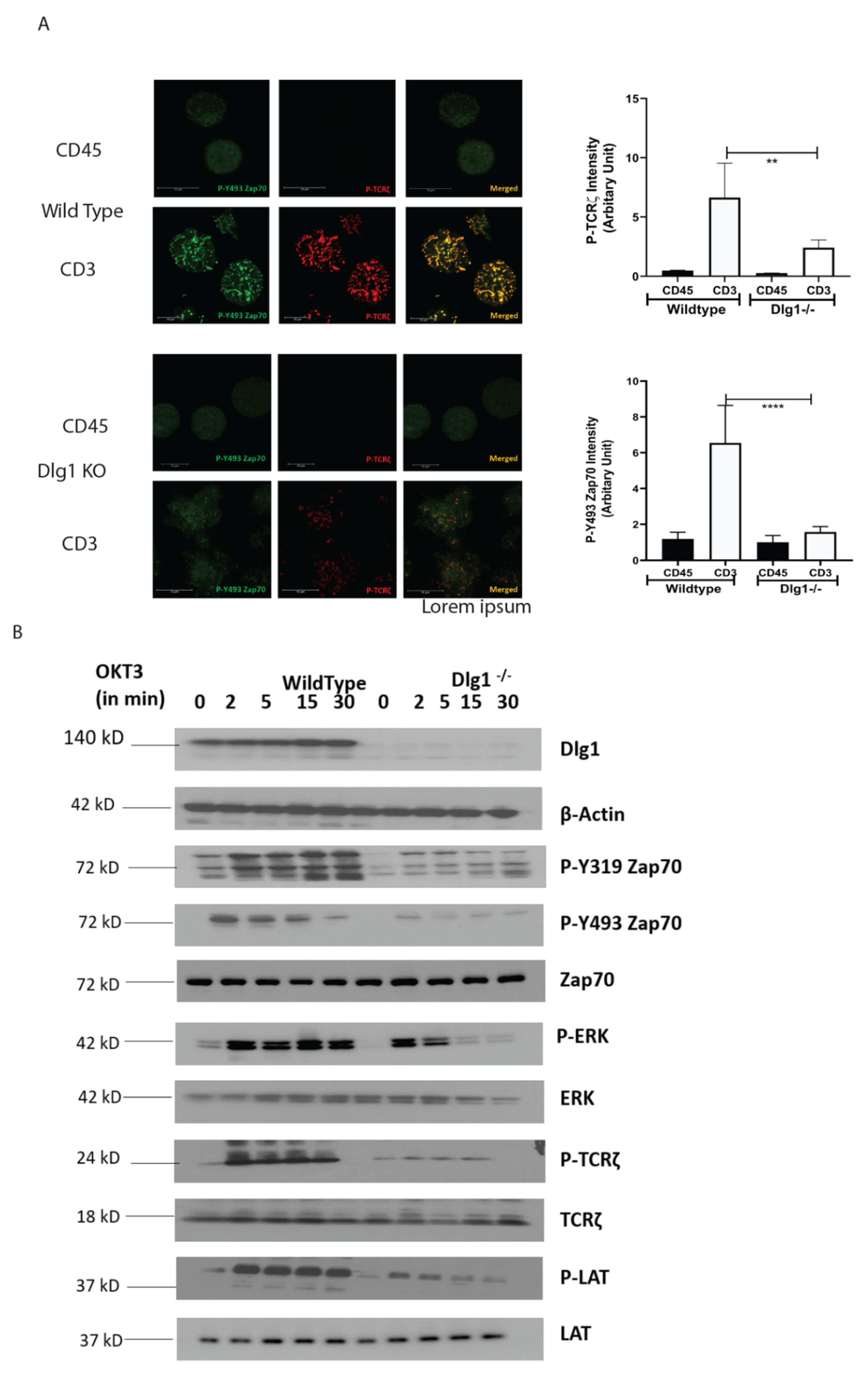 Vaccines 09 01446 g002 550