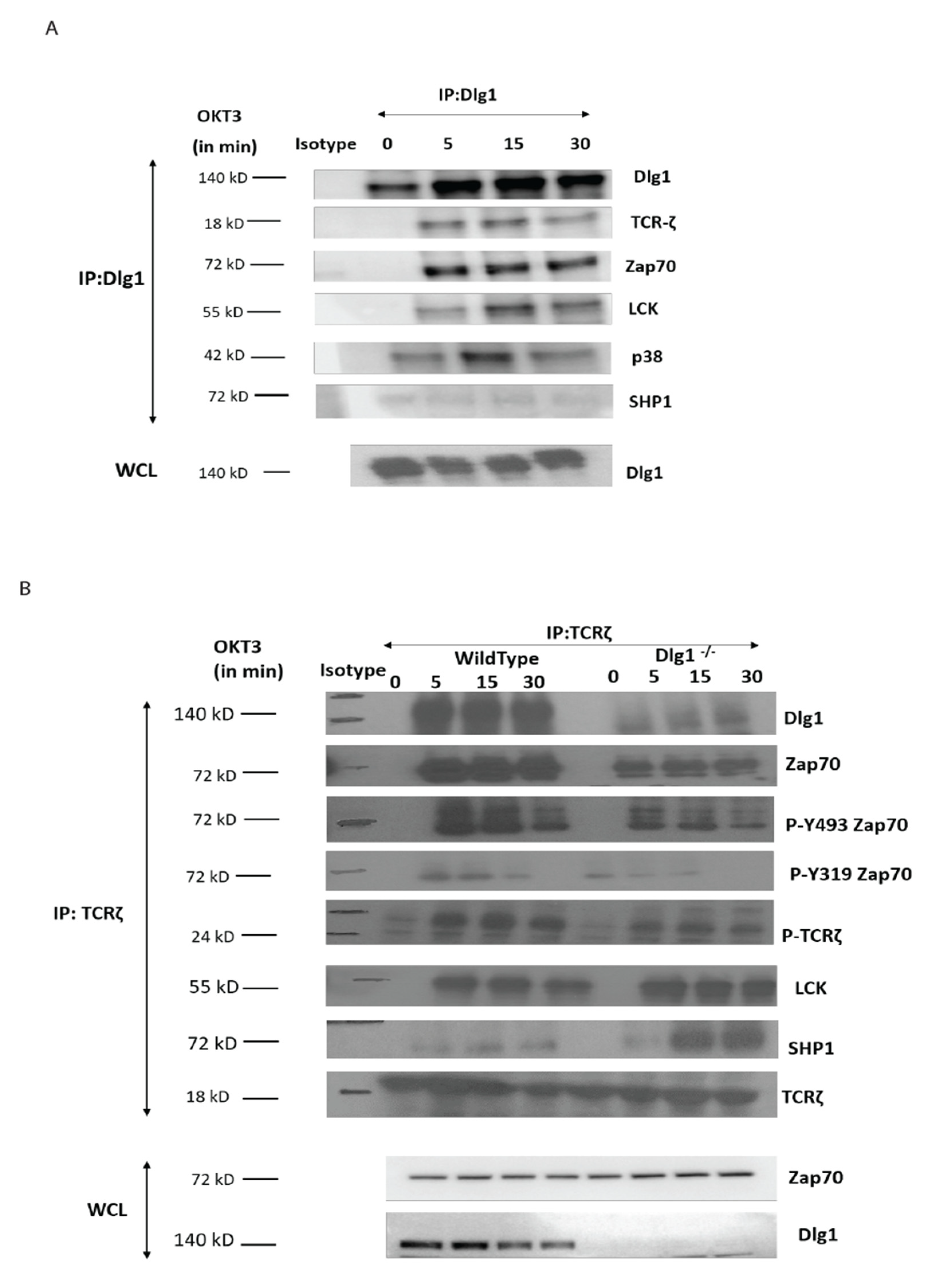 Vaccines 09 01446 g003 550
