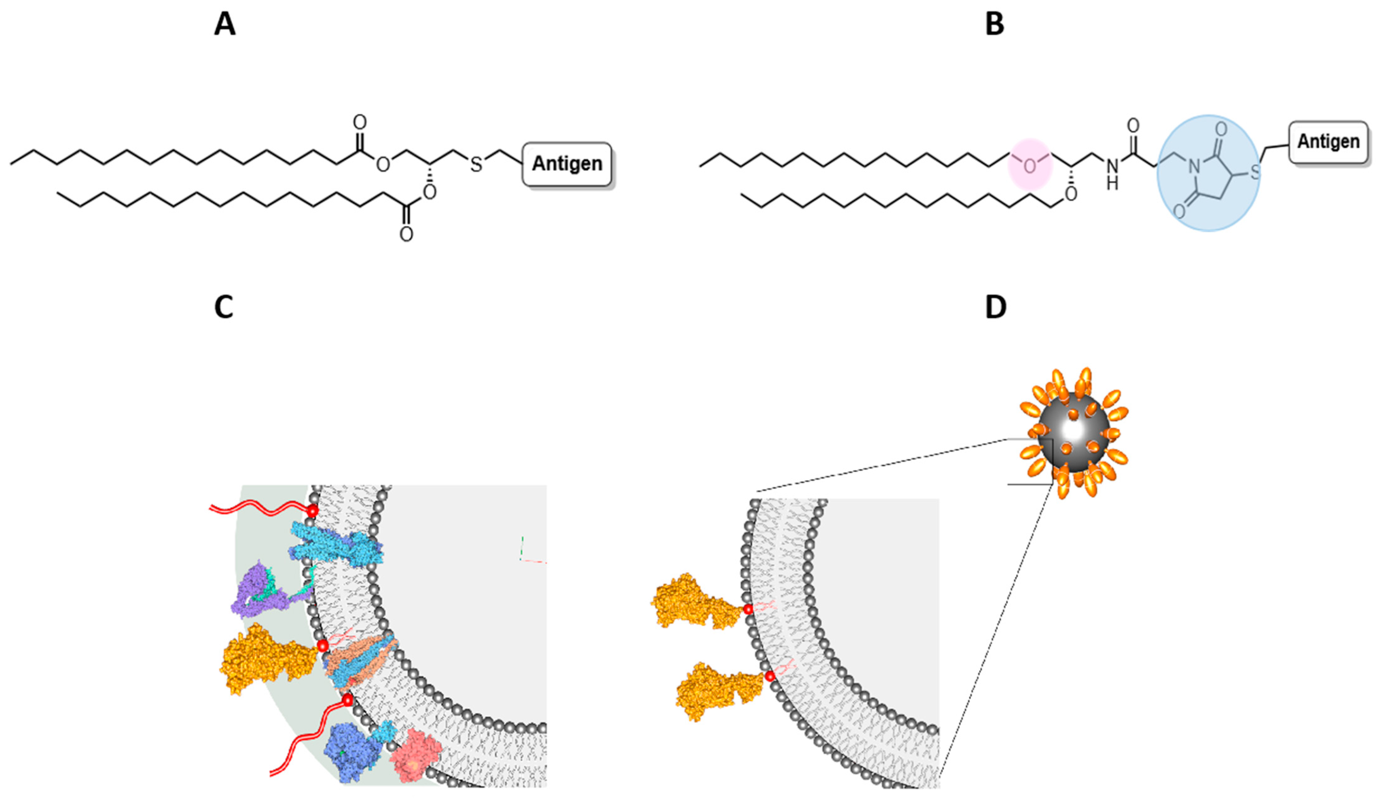 Vaccines 09 01453 g001