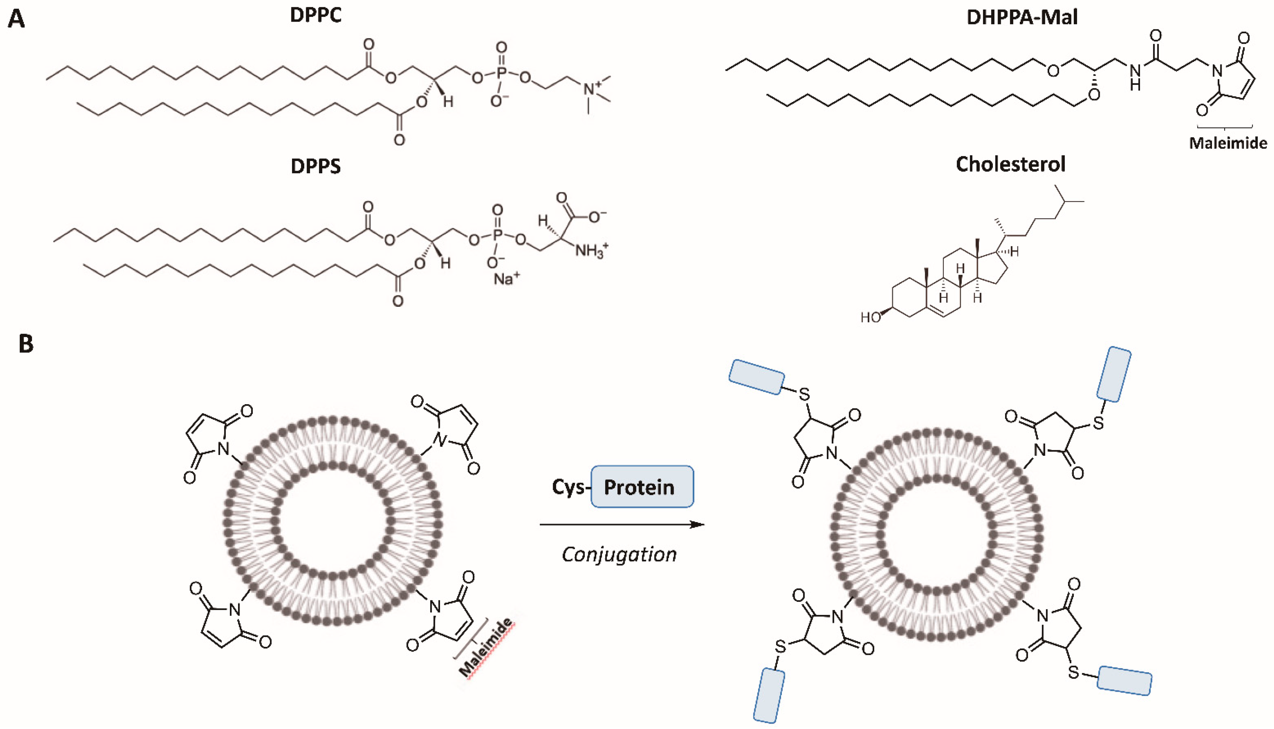 Vaccines 09 01453 g003