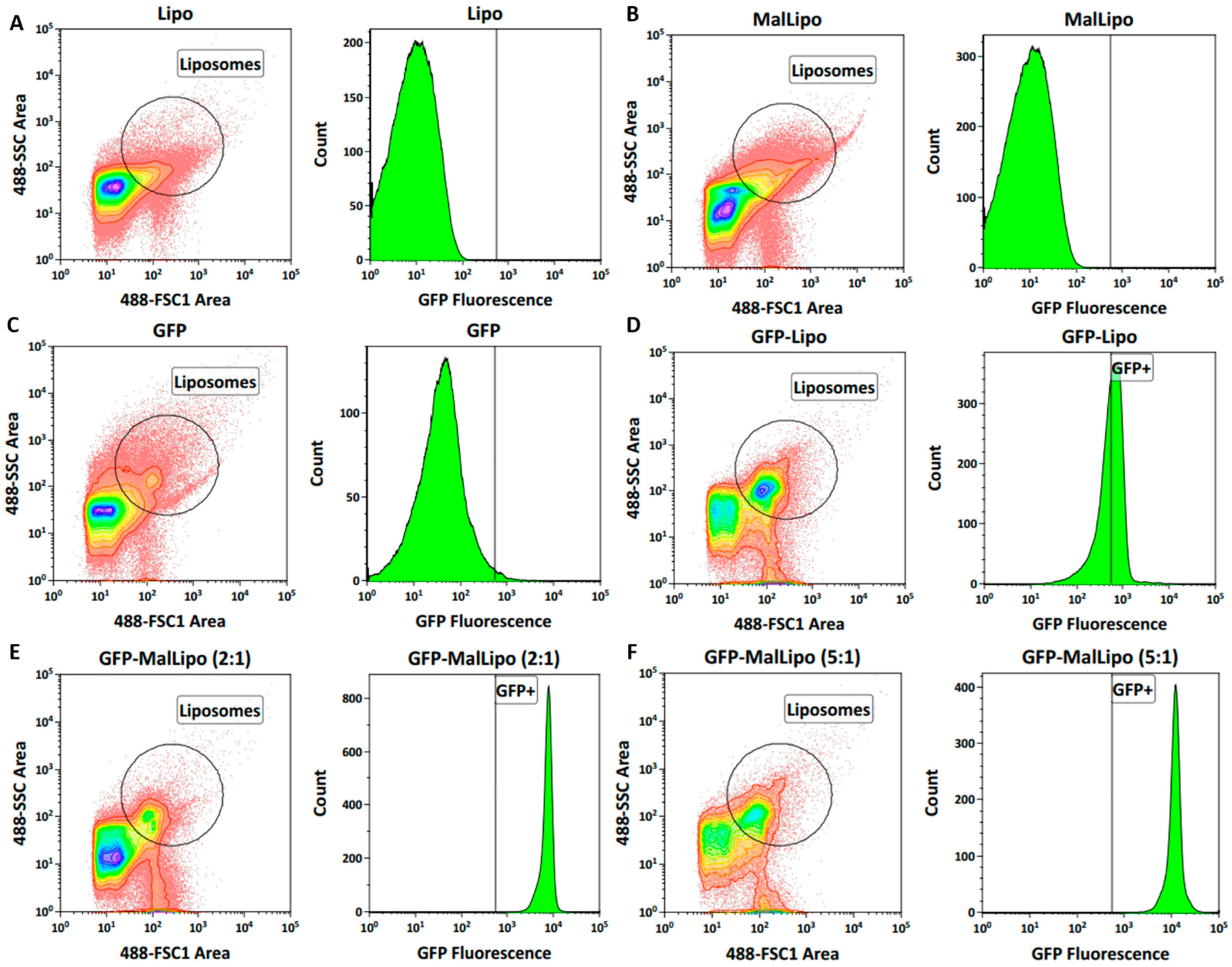 Vaccines 09 01453 g004