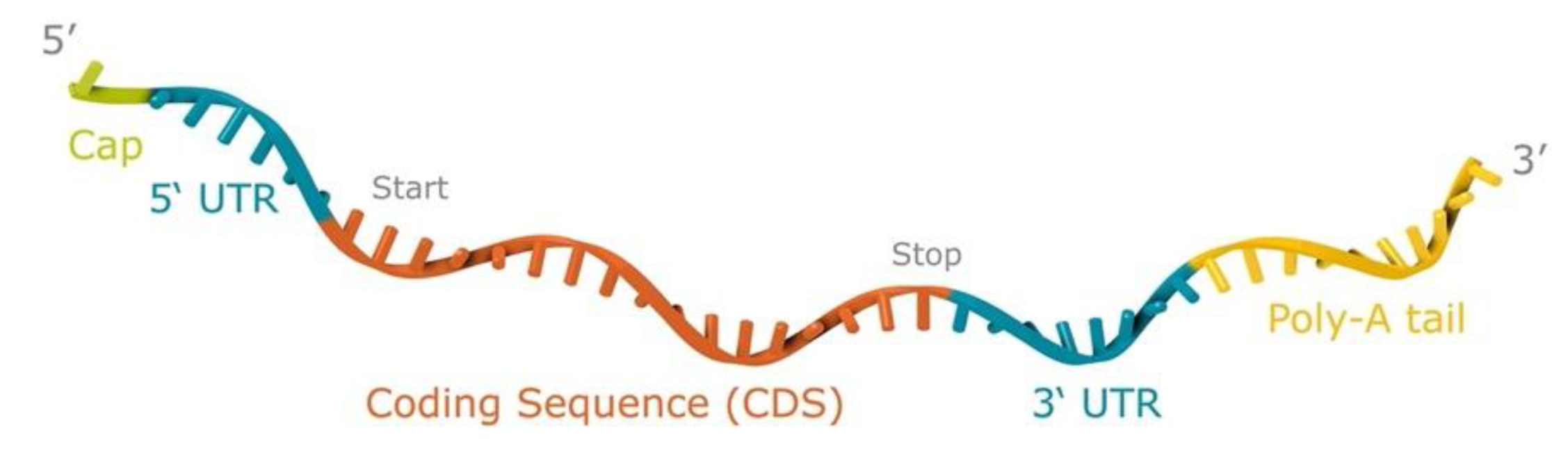 Vaccines 09 01464 g001
