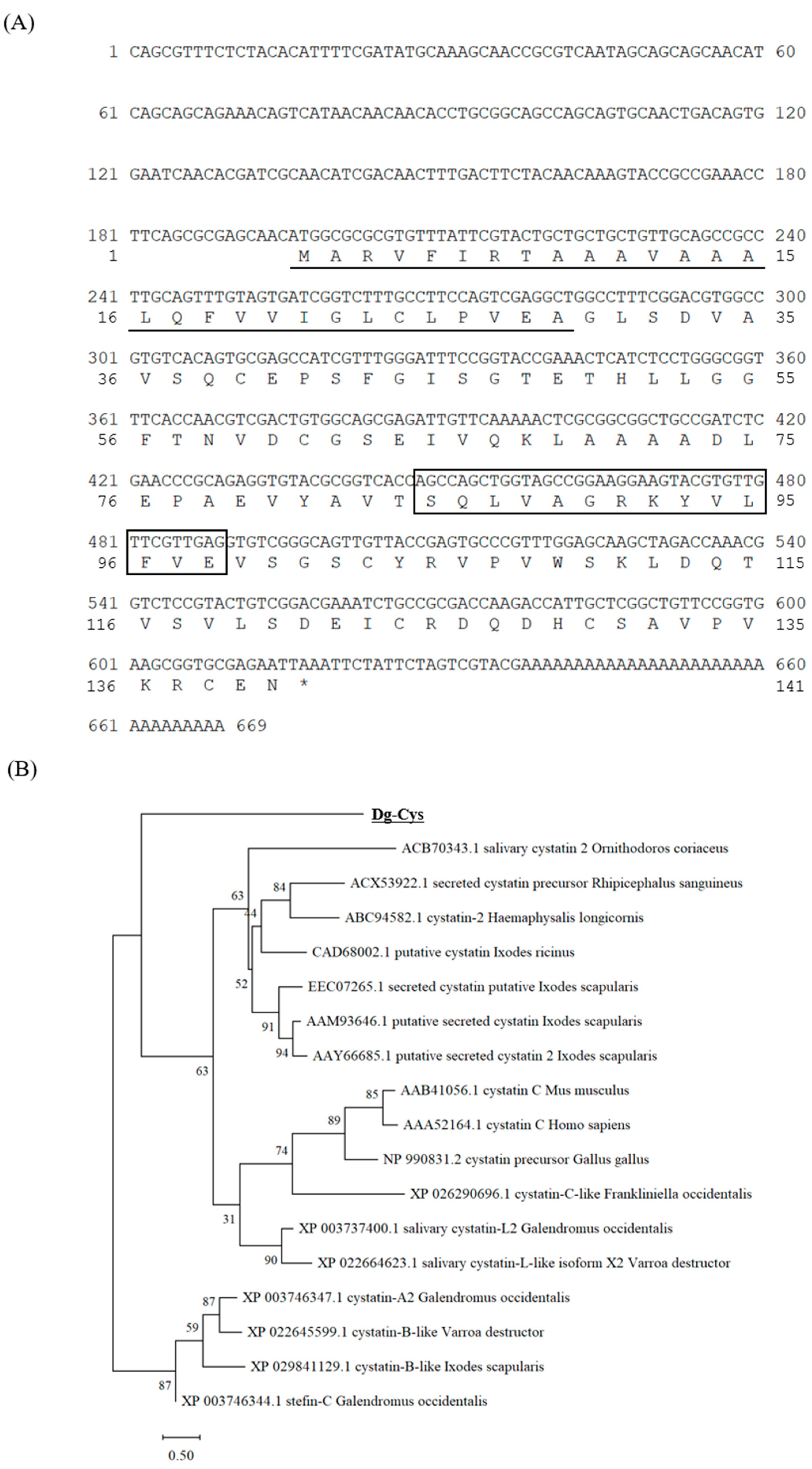 Vaccines 09 01472 g001
