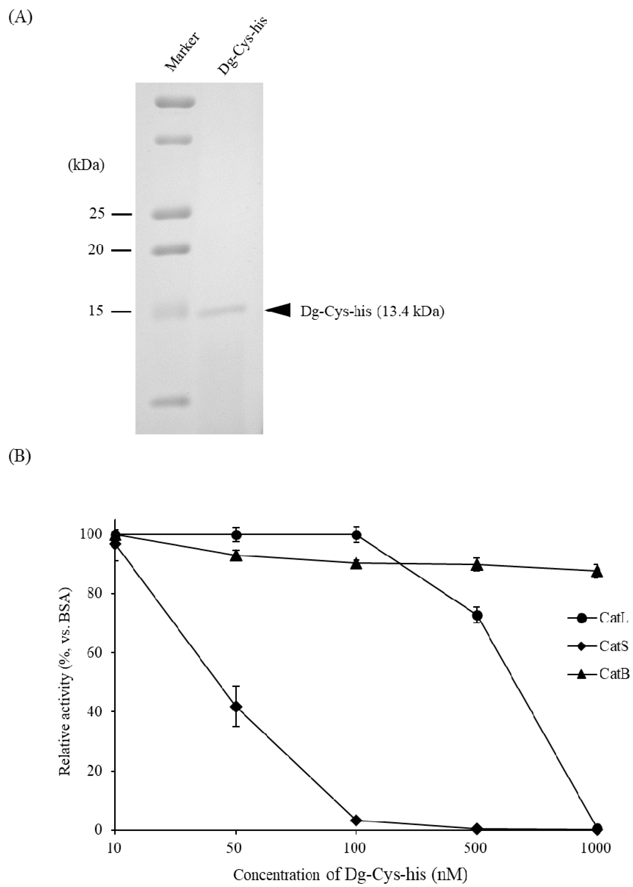 Vaccines 09 01472 g003