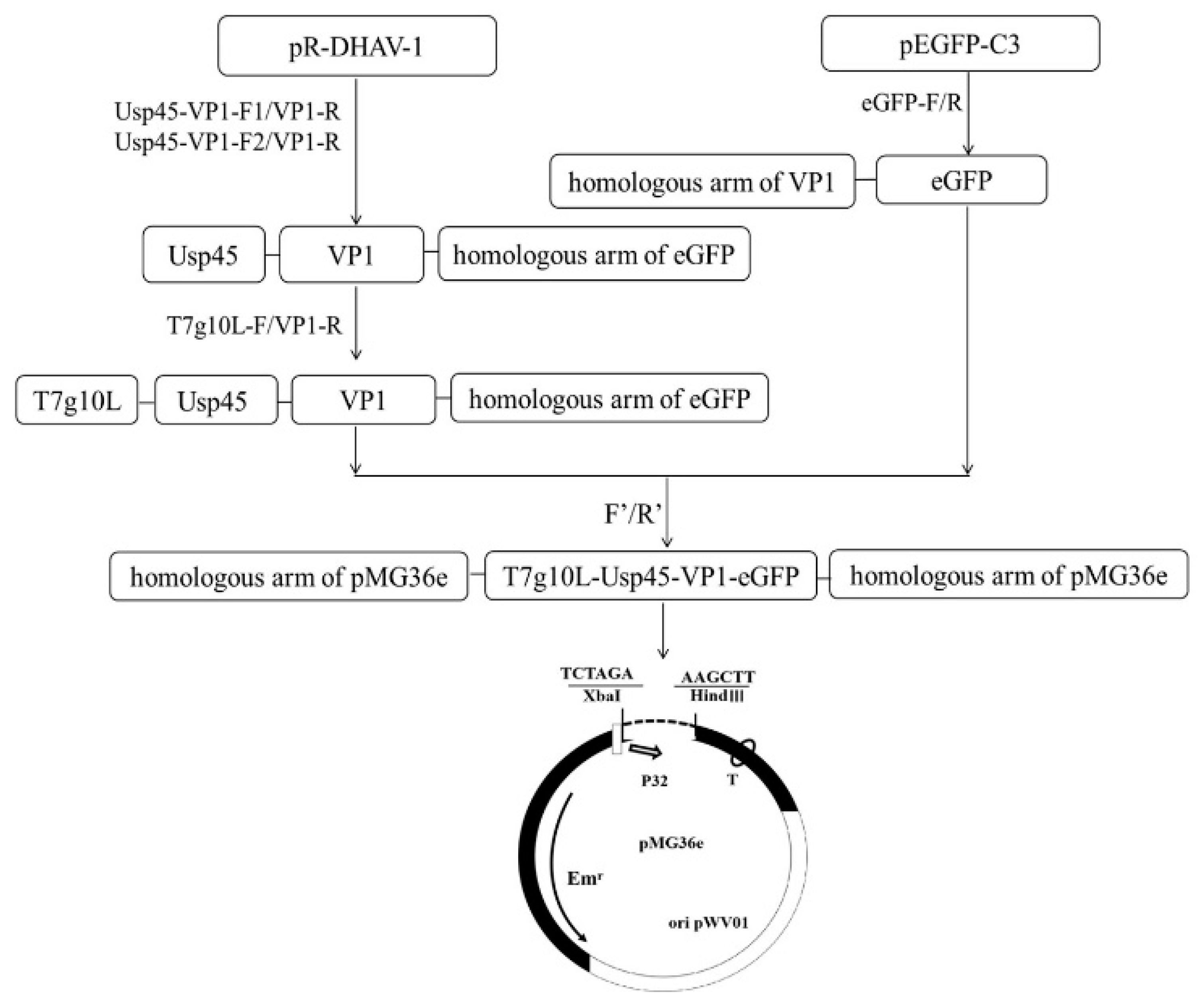 Vaccines 09 01479 g001 Vaccines 09 01479 g001