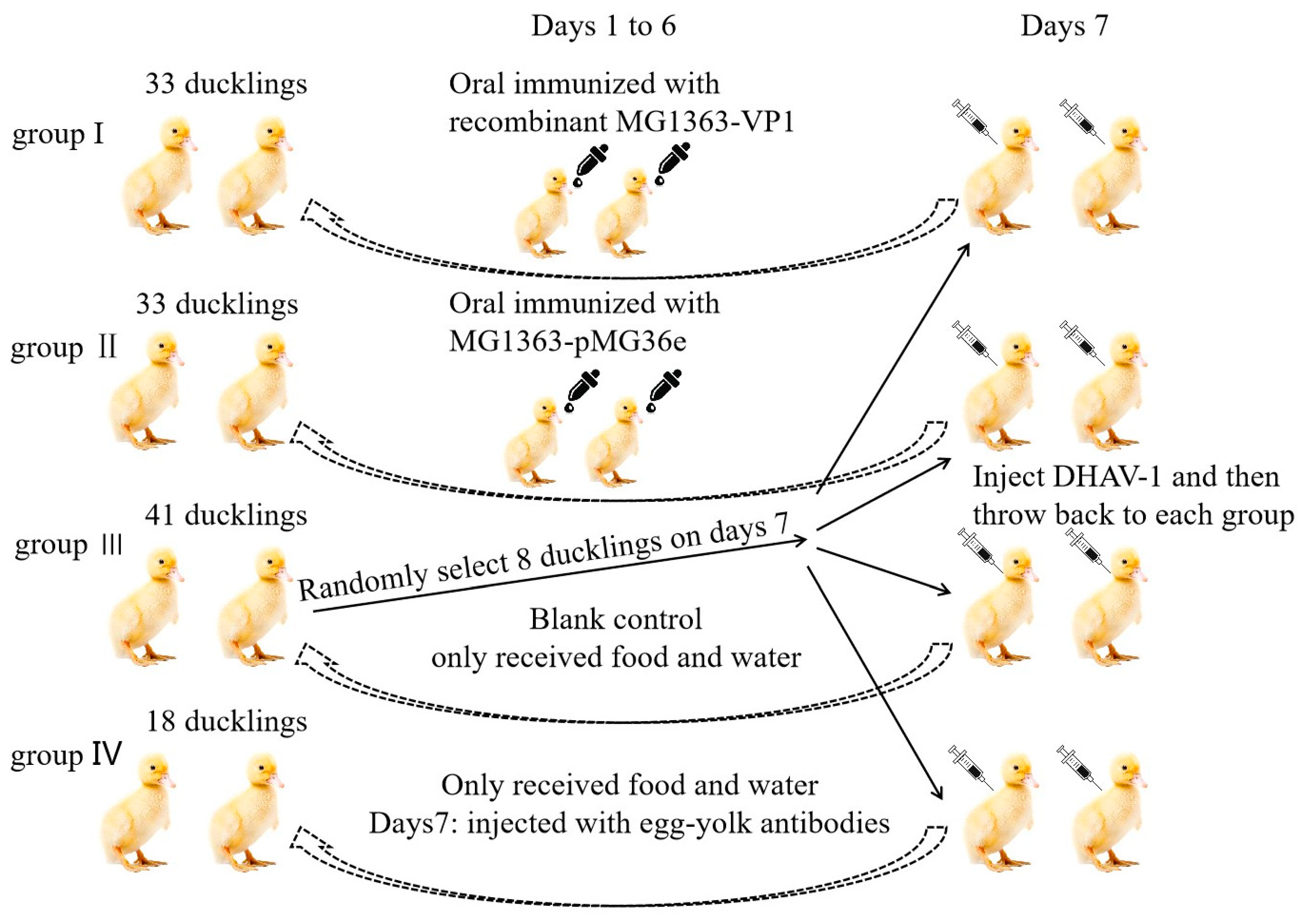 Vaccines 09 01479 g002 Vaccines 09 01479 g002