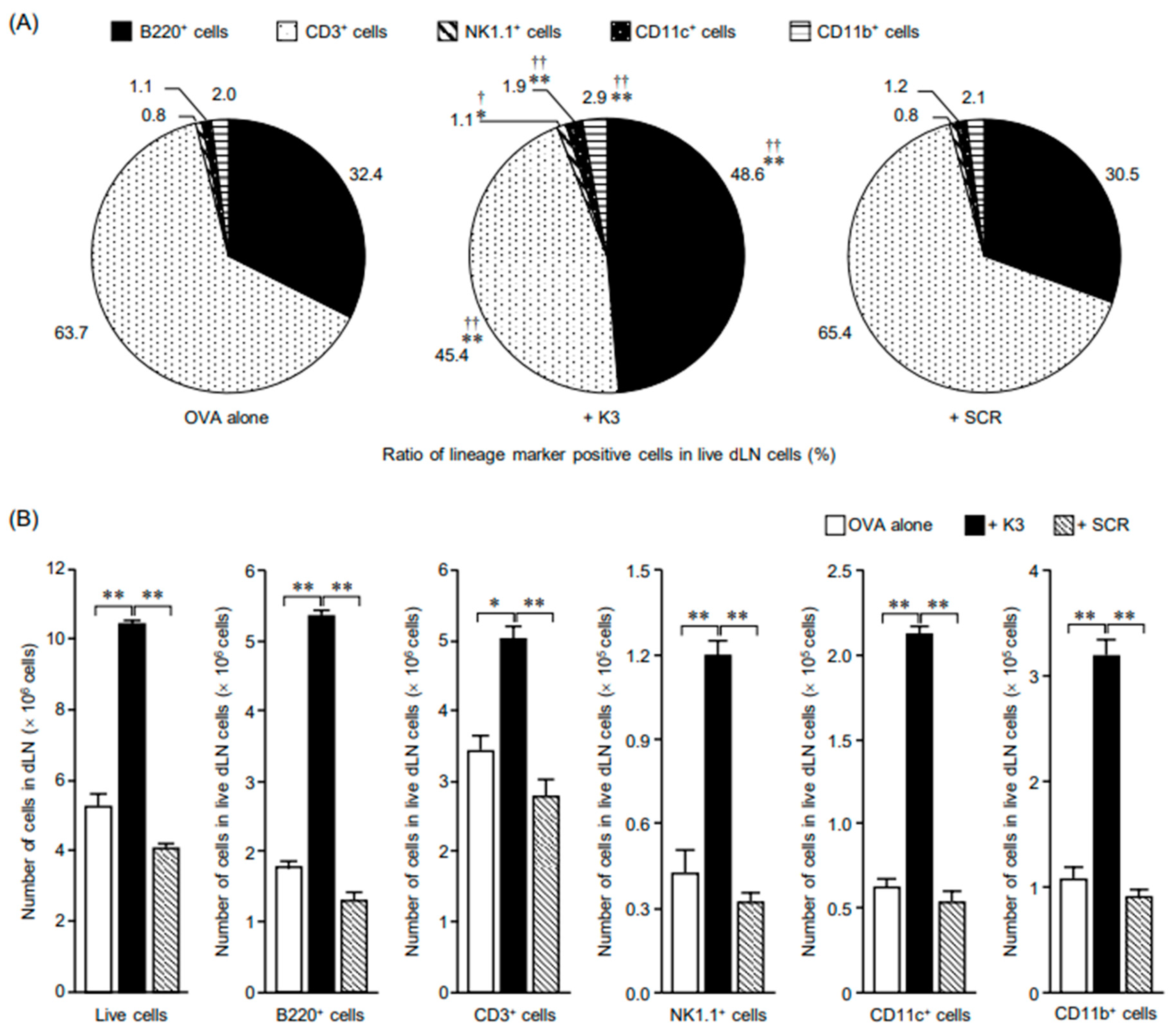 Vaccines 09 01480 g002a 550
