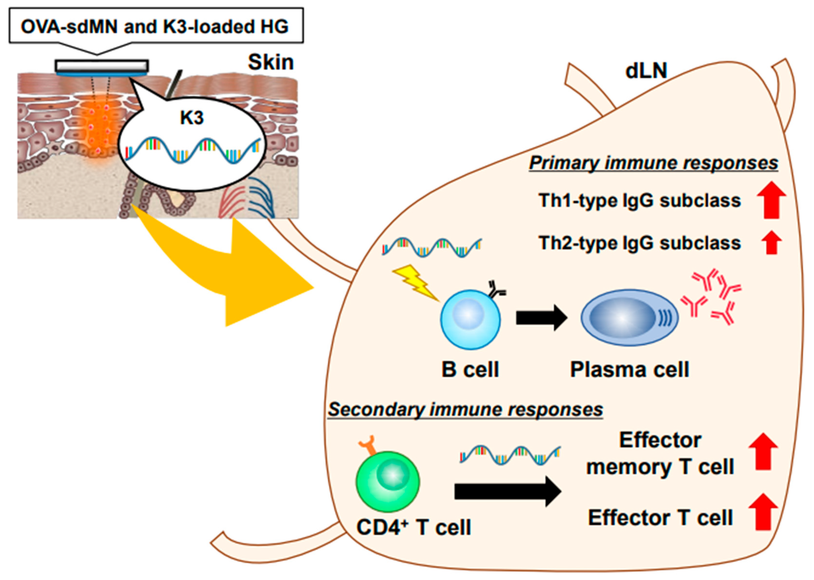 Vaccines 09 01480 g005 550