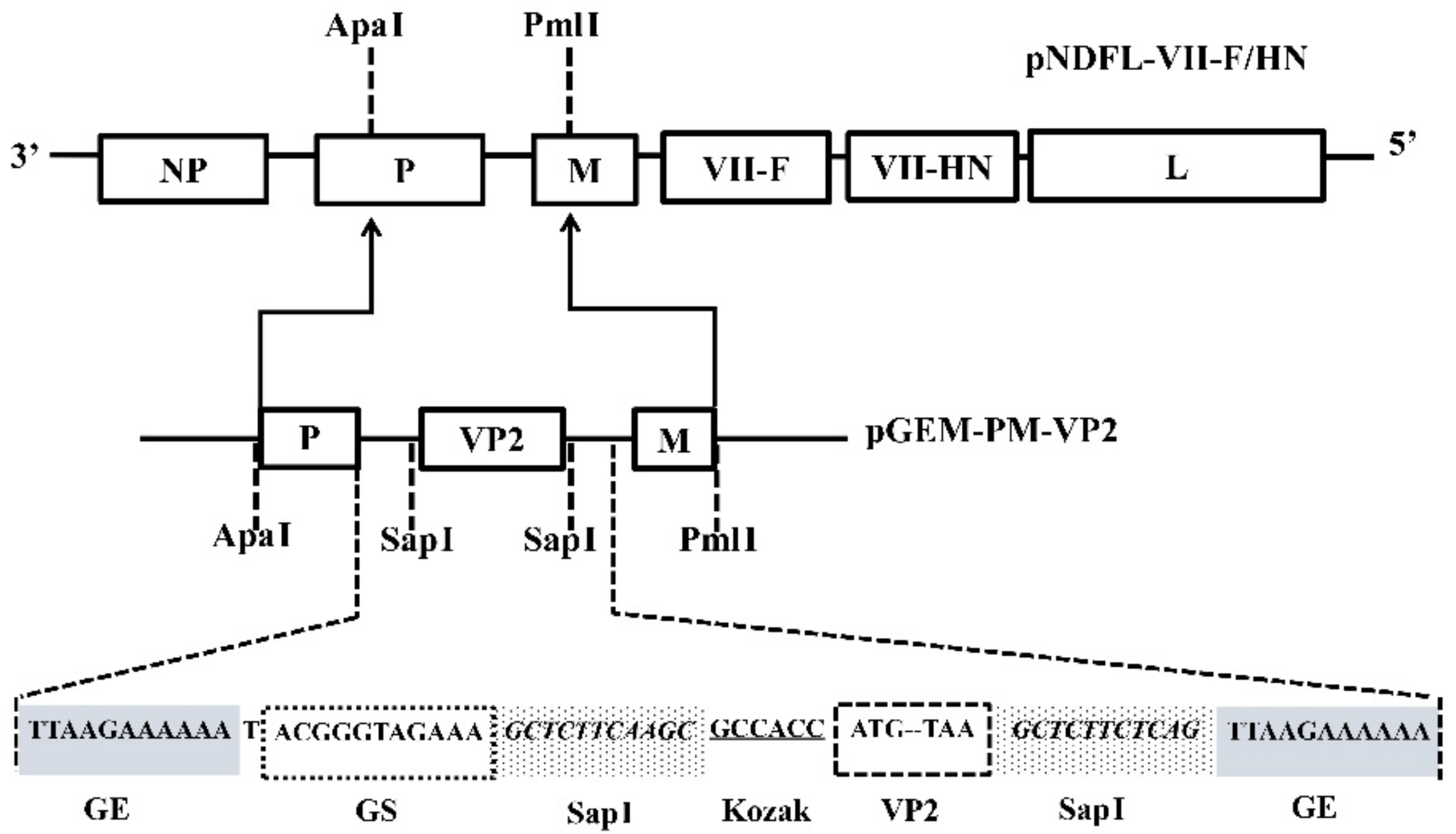 Vaccines 09 01483 g001