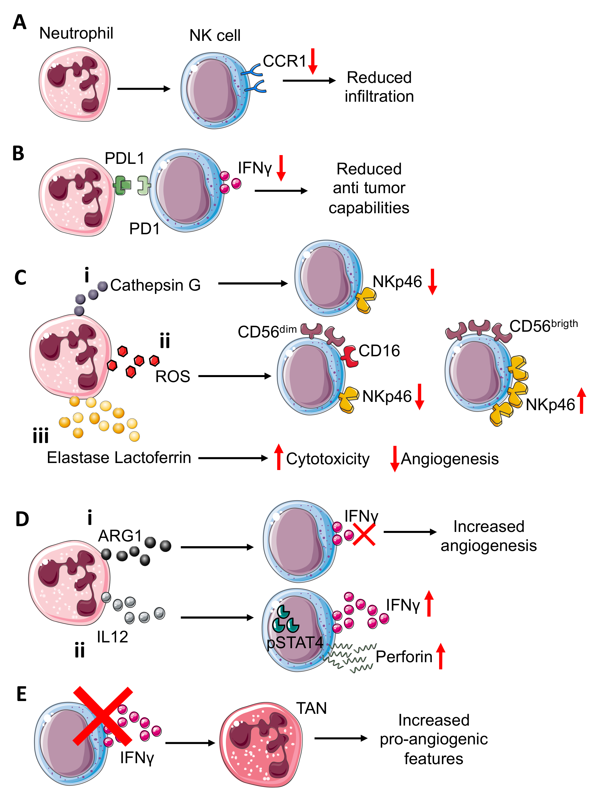 Vaccines 09 01488 g002