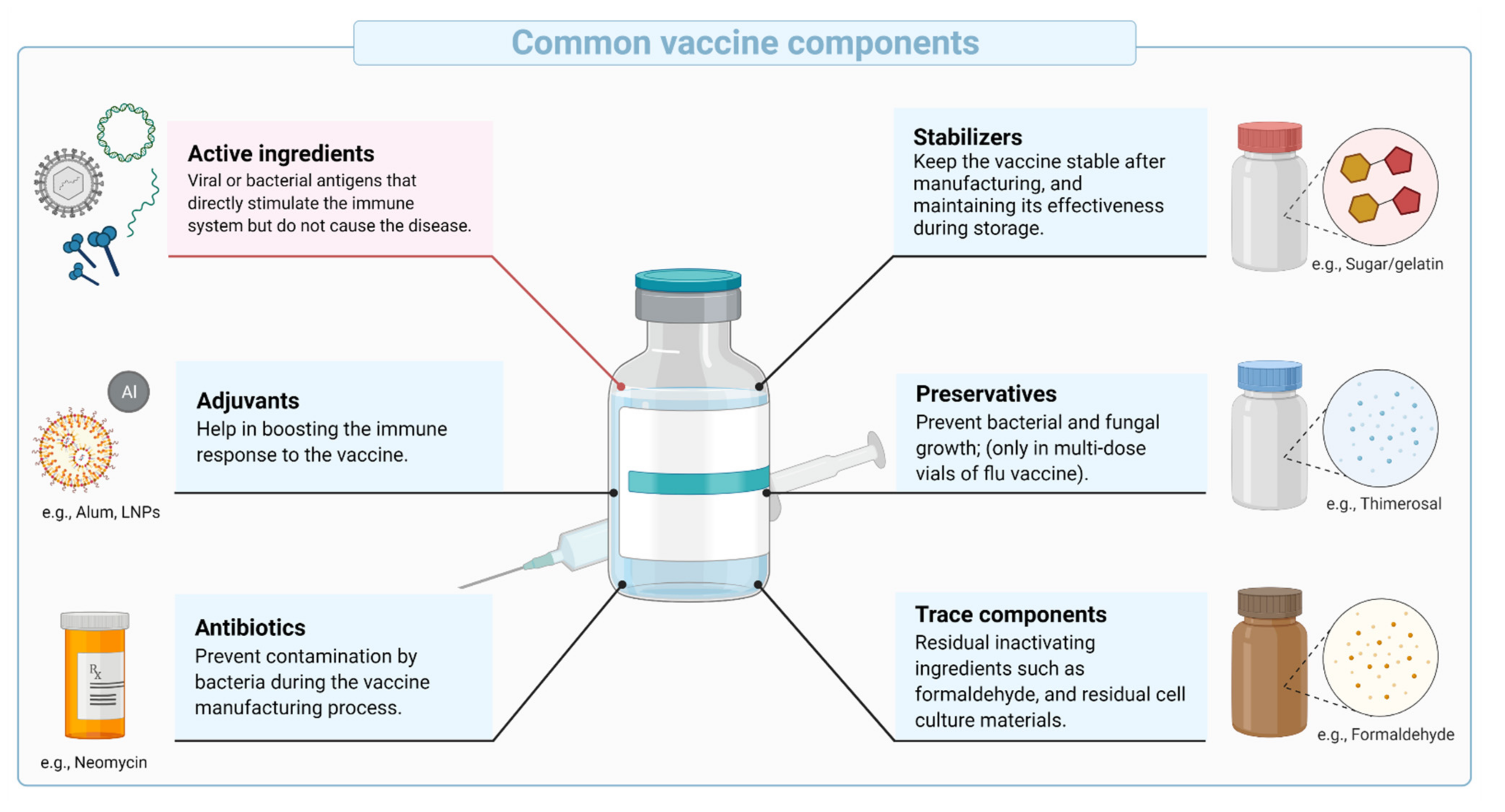 CDC on X: A viral vector vaccine uses a harmless version of a different  virus to deliver information to your body that helps it protect you. The  vaccine does not contain the