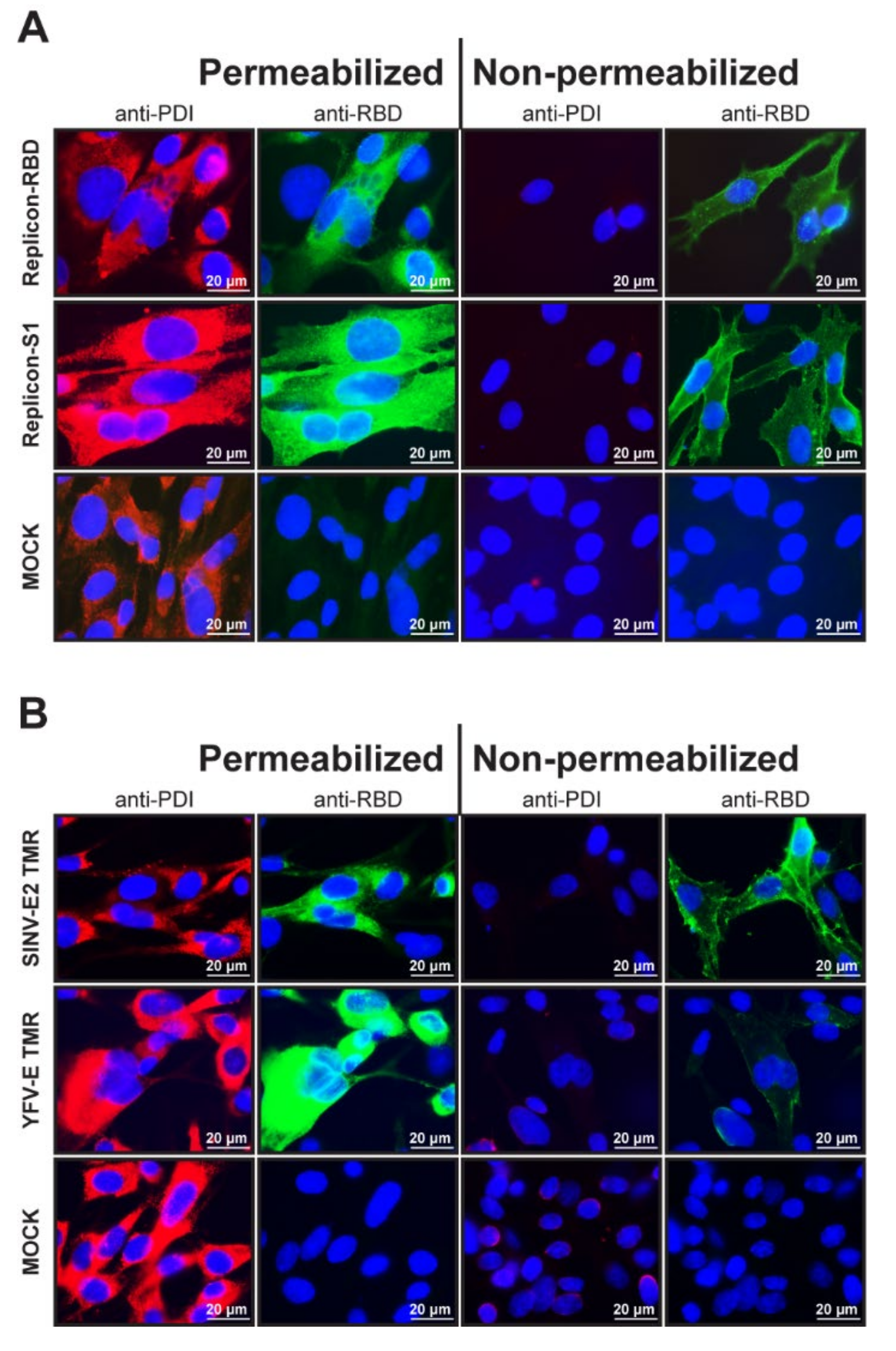 Vaccines 09 01492 g002