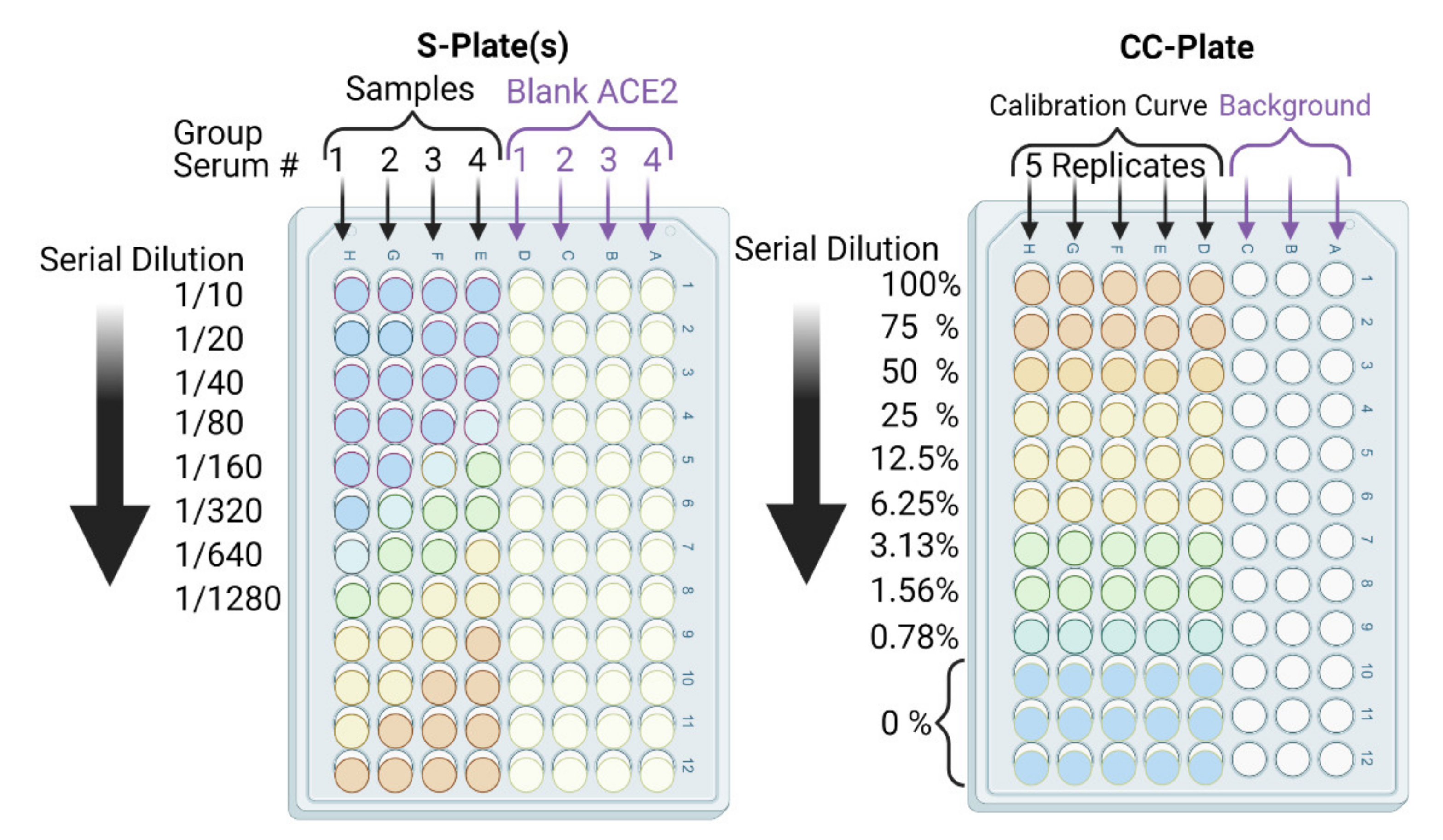 Vaccines 09 01493 g005 550