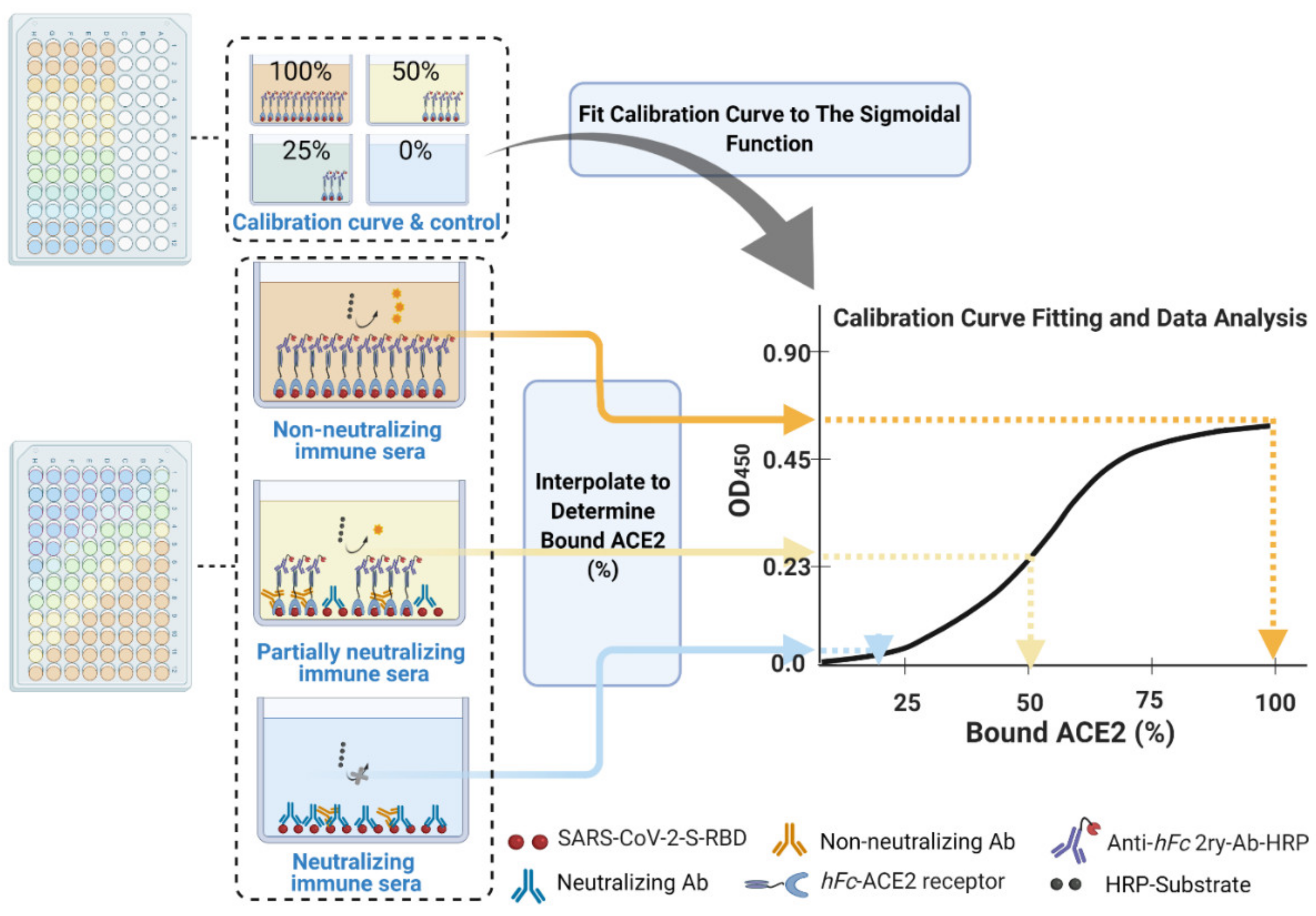 Vaccines 09 01493 g006 550