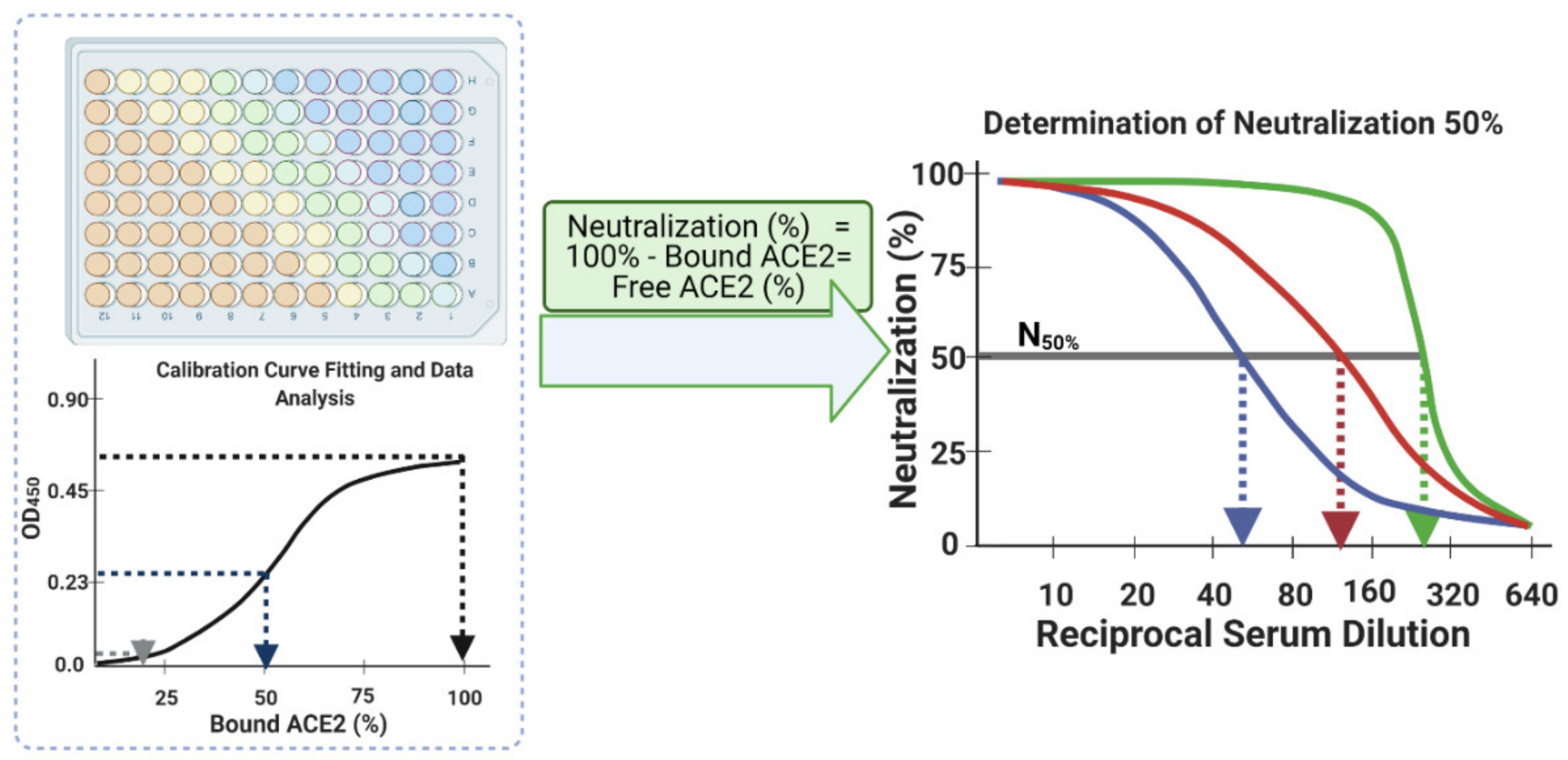 Vaccines 09 01493 g007 550