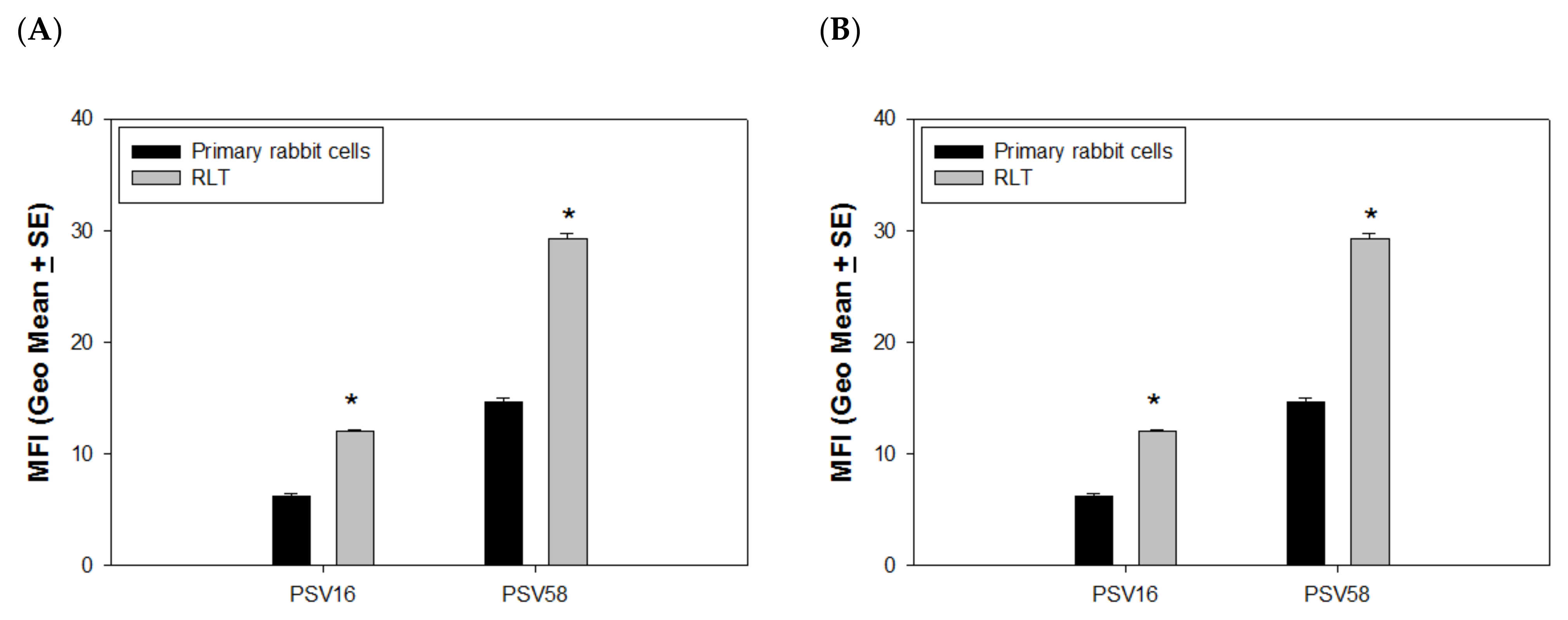 Vaccines 09 01501 g004 Vaccines 09 01501 g004