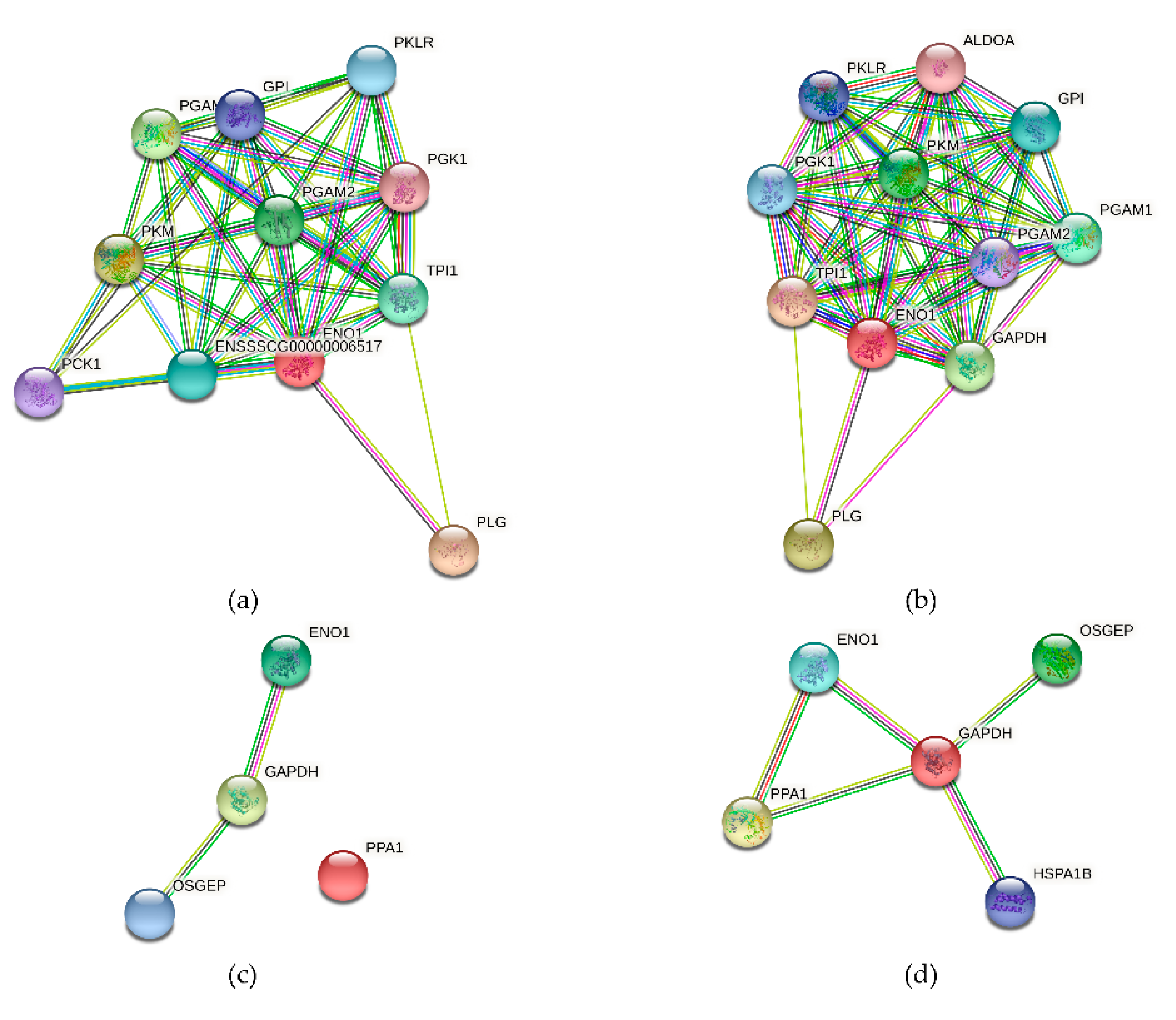 Vaccines 09 01506 g010