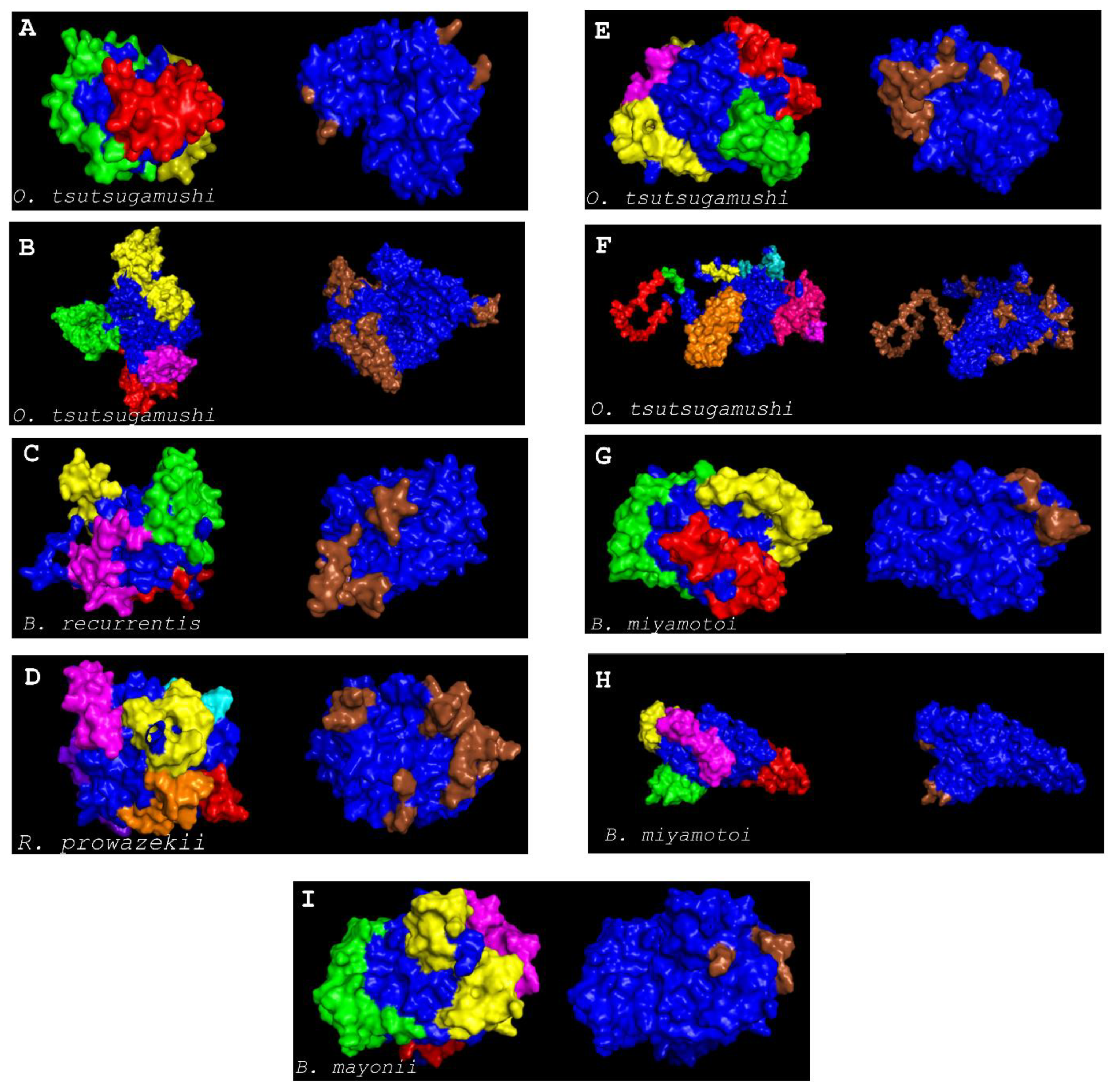 Vaccines 10 00008 g005 Vaccines 10 00008 g005