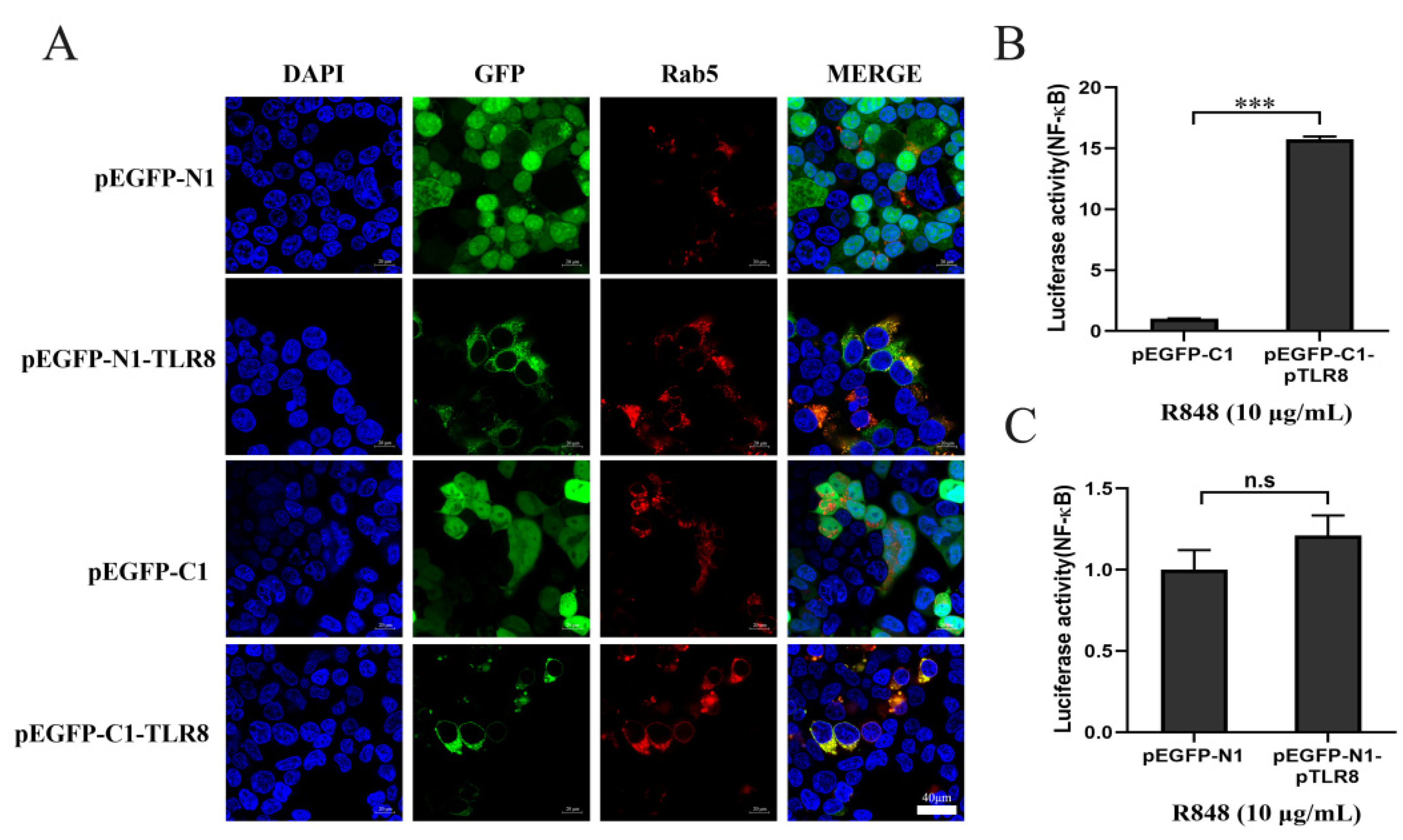 Vaccines 10 00014 g002 550
