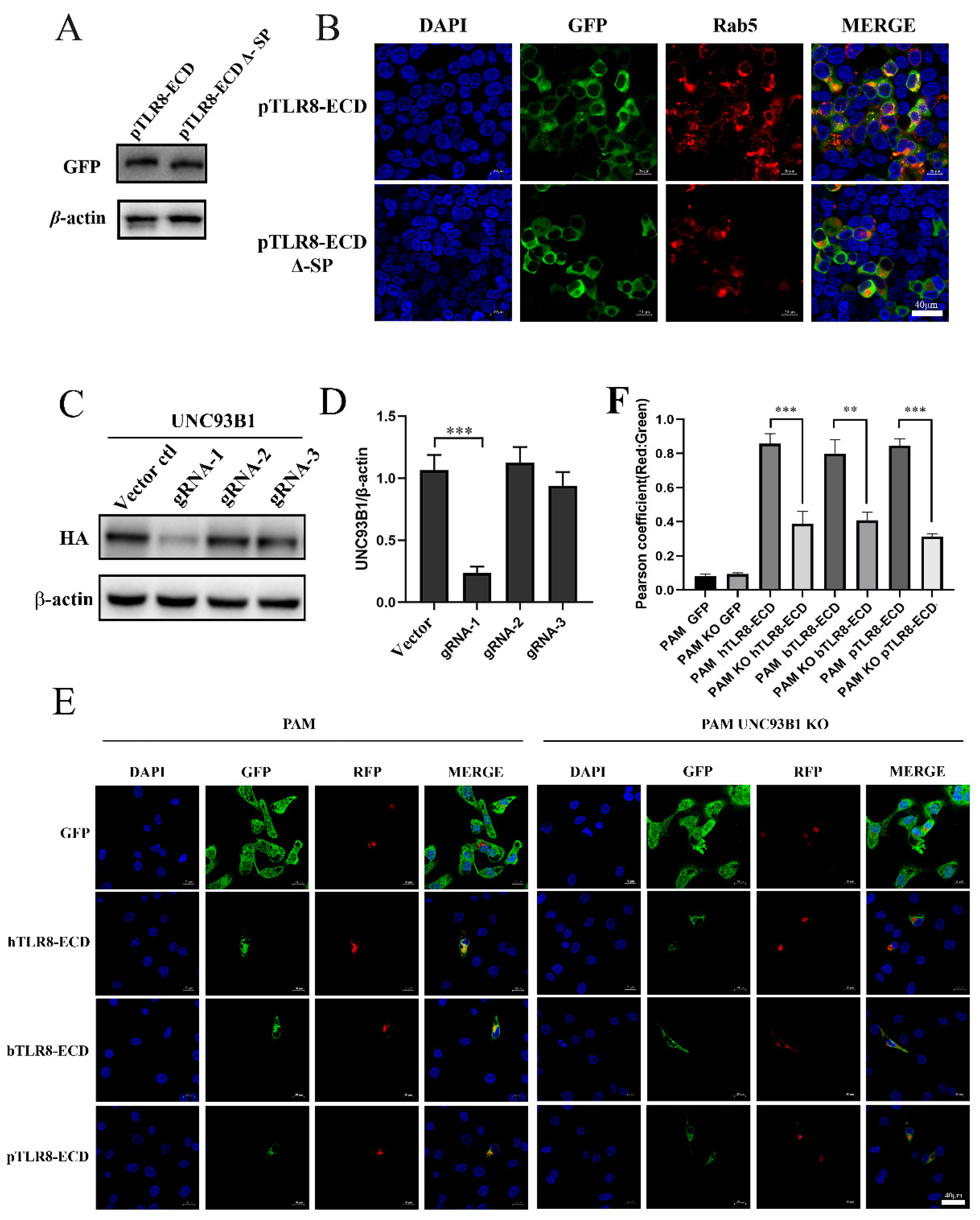 Vaccines 10 00014 g005 550