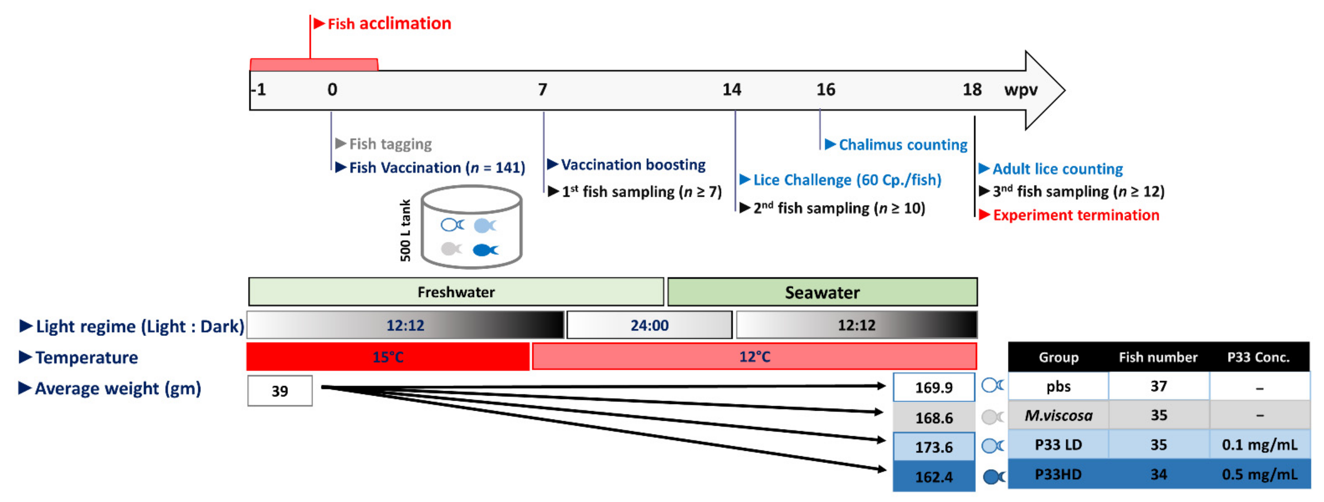Vaccines 10 00016 g001 550