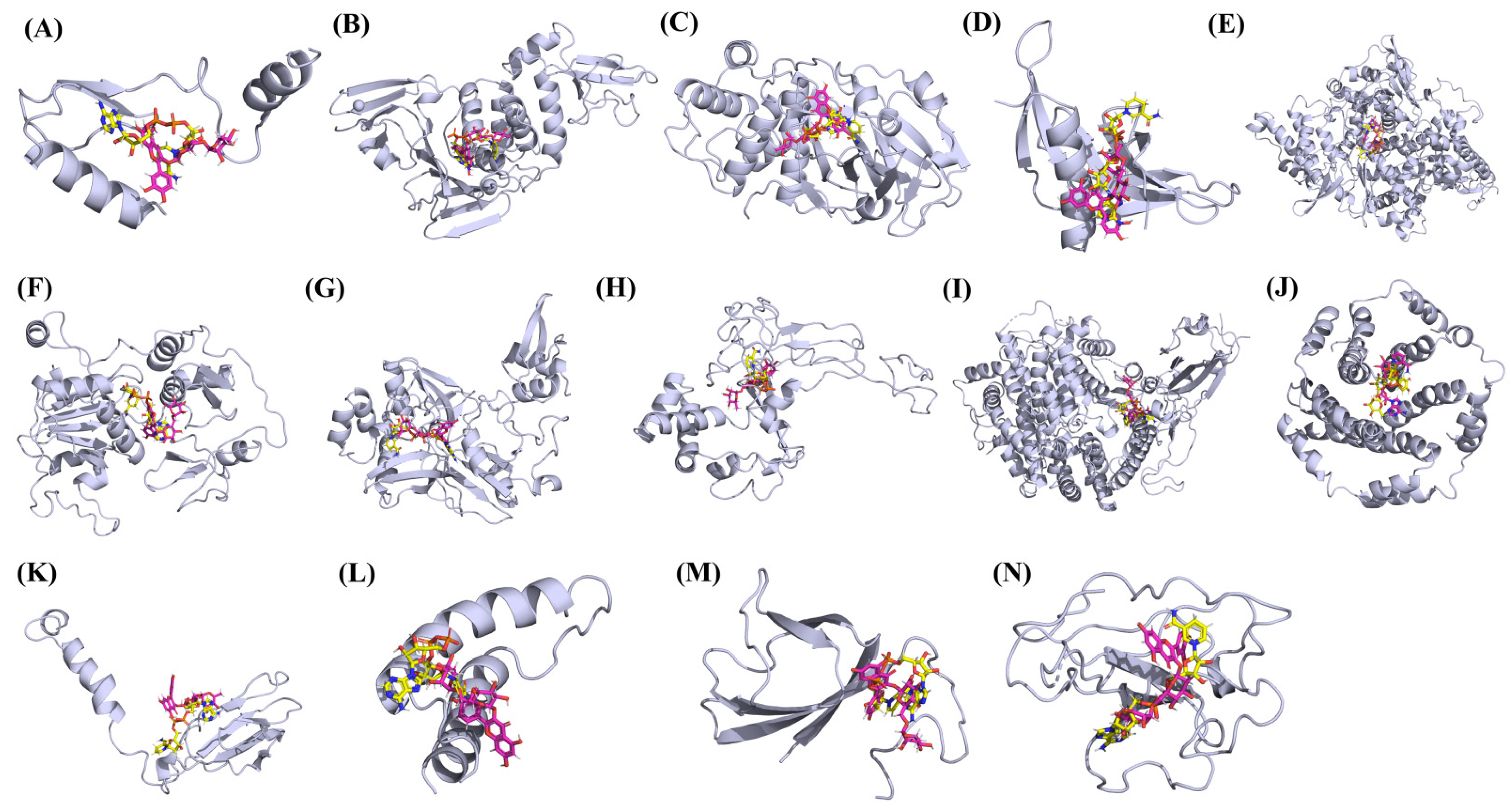 Vaccines 10 00024 g015