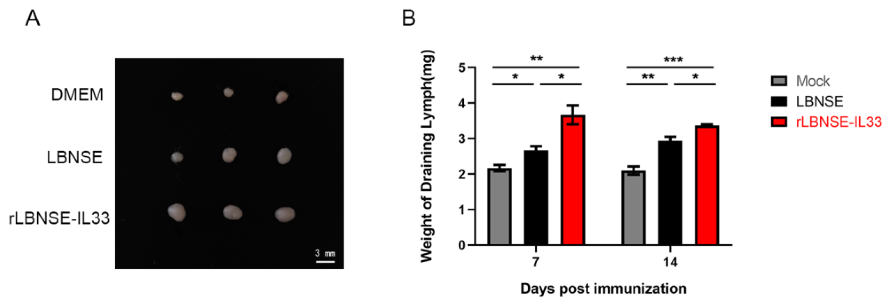 Vaccines 10 00034 g004 550