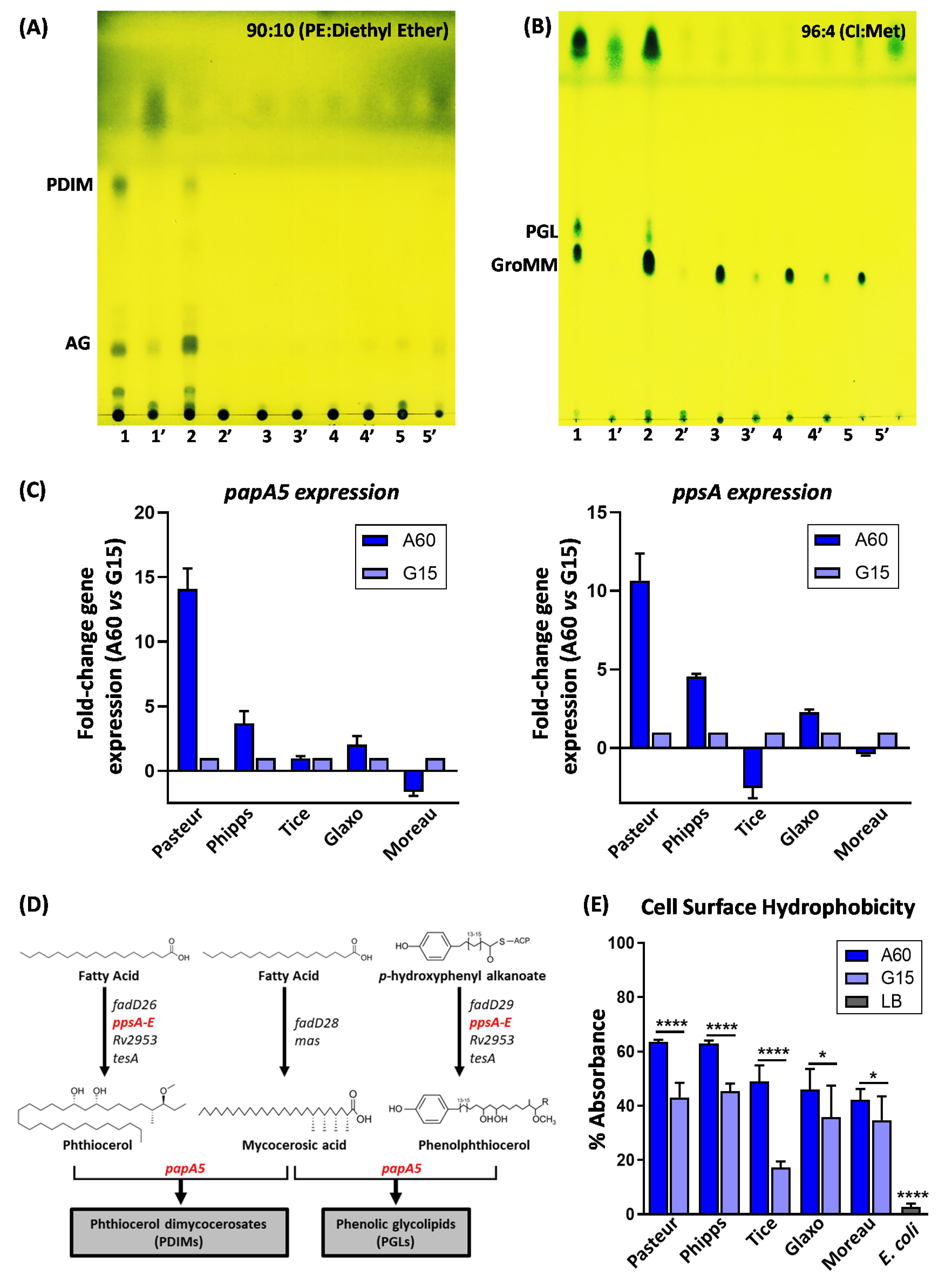 Vaccines 10 00040 g001 Vaccines 10 00040 g001