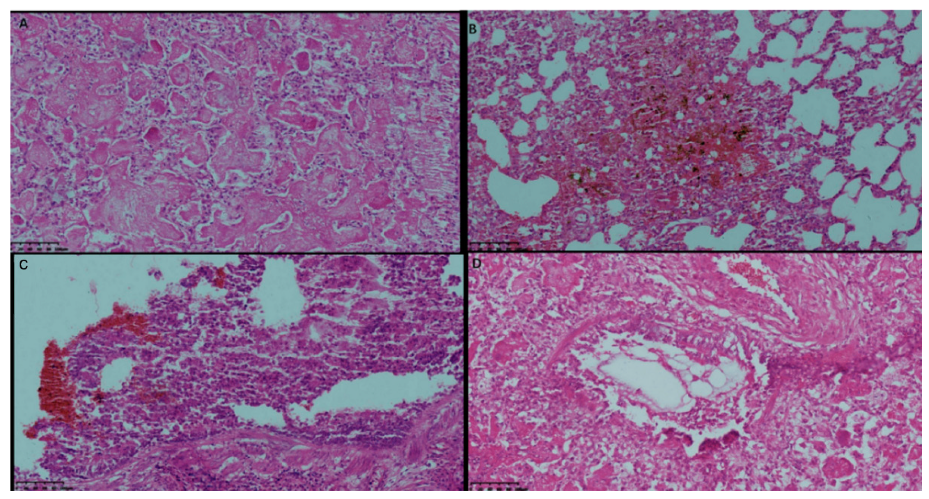 Vaccines 10 00047 g005