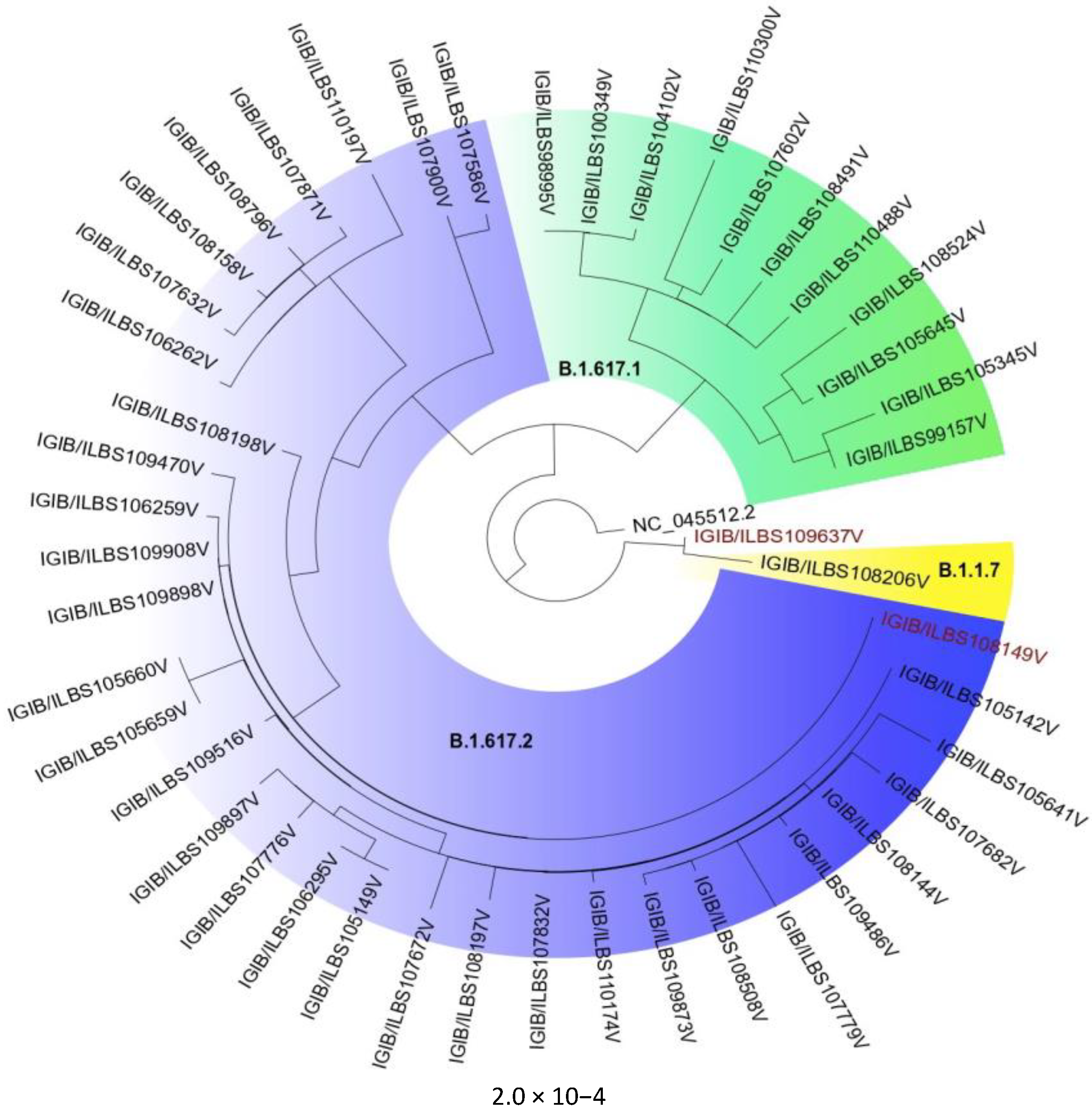 Vaccines 10 00054 g002 550