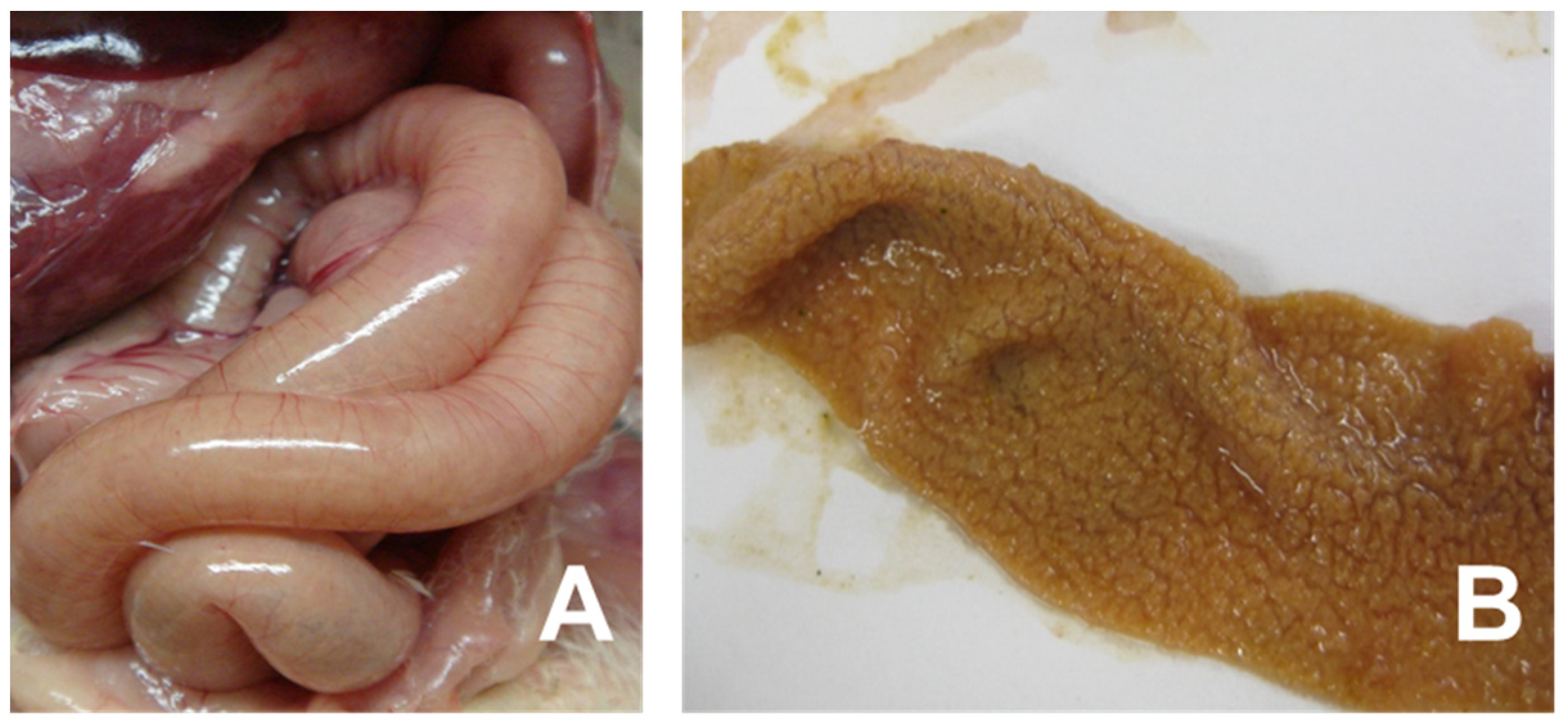 Vaccines 10 00061 g001 Vaccines 10 00061 g001